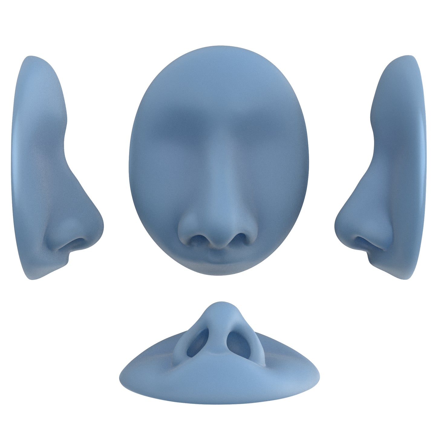 the deviated septum