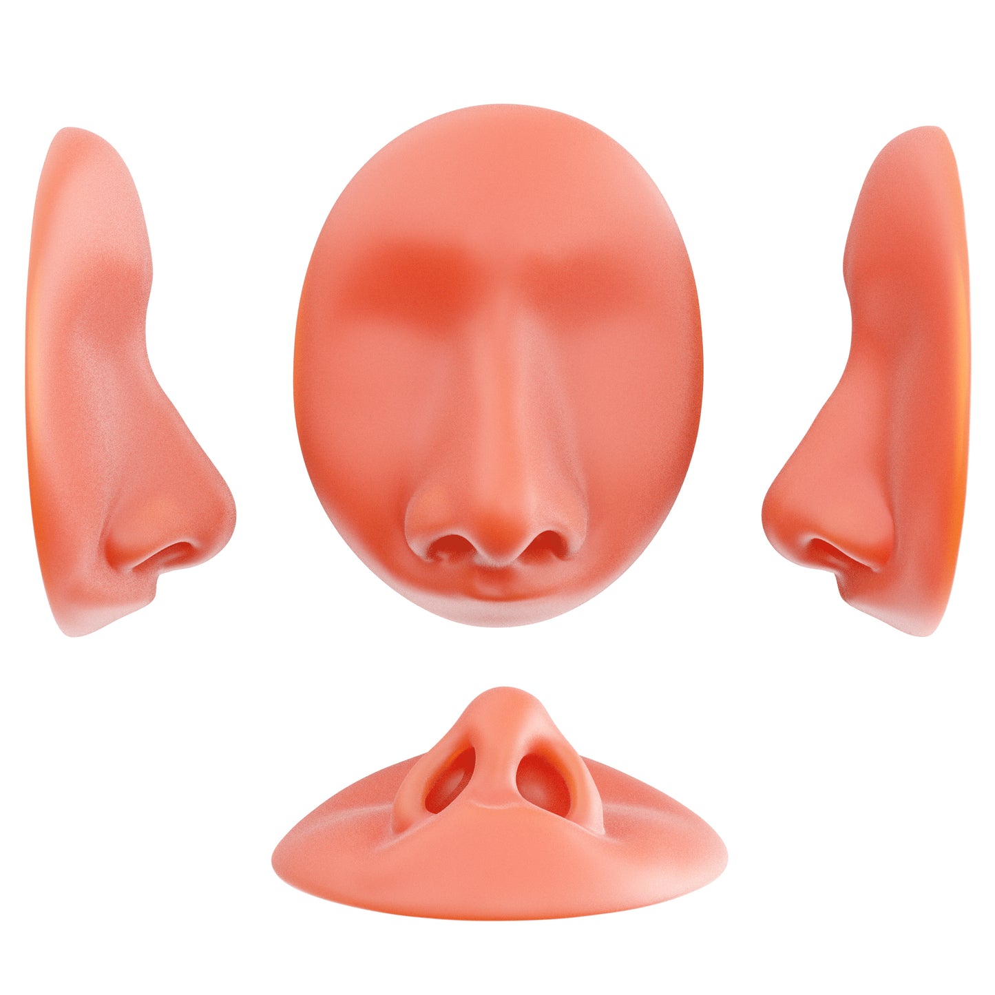 the deviated septum