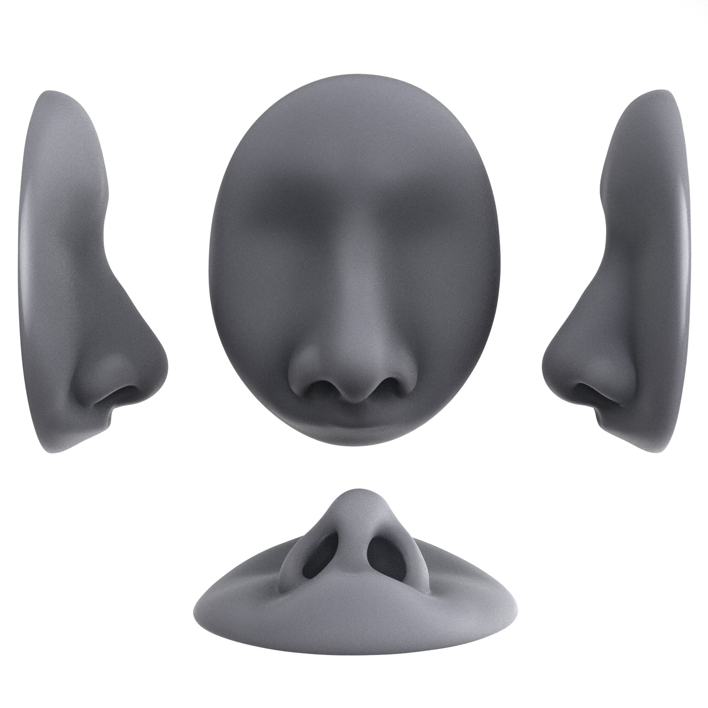 the deviated septum