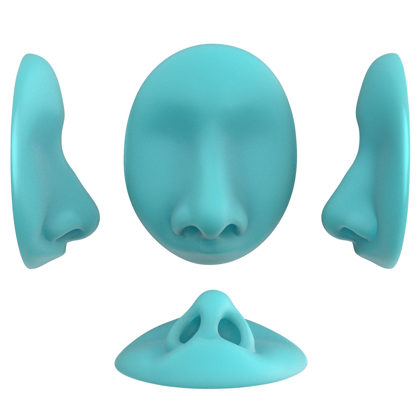 the deviated septum