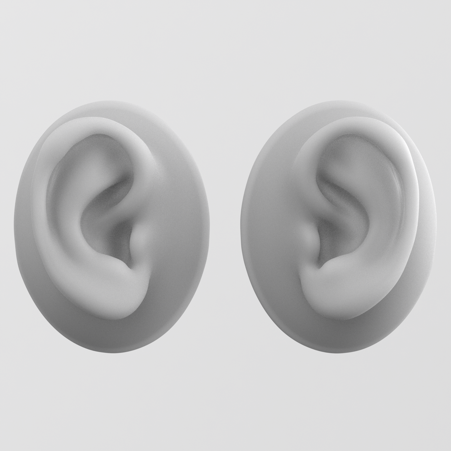 human ear