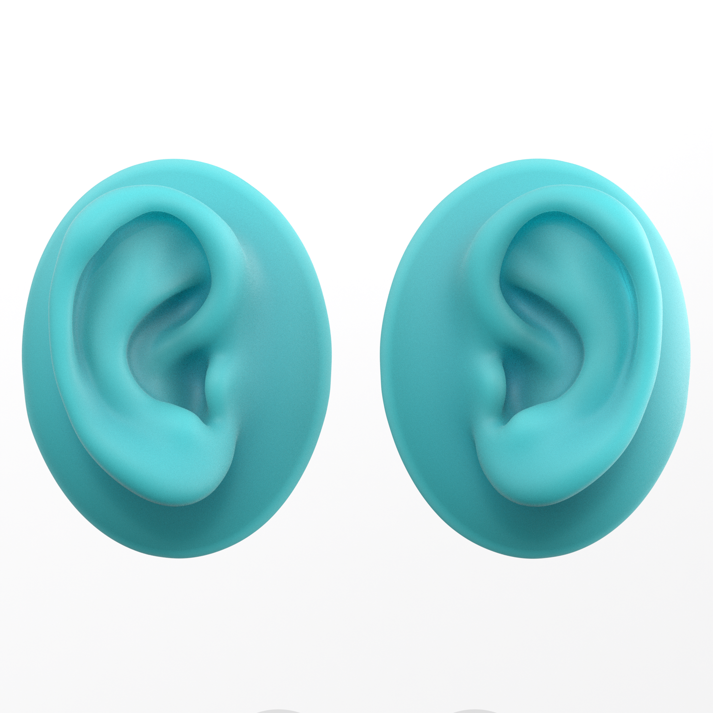 human ear