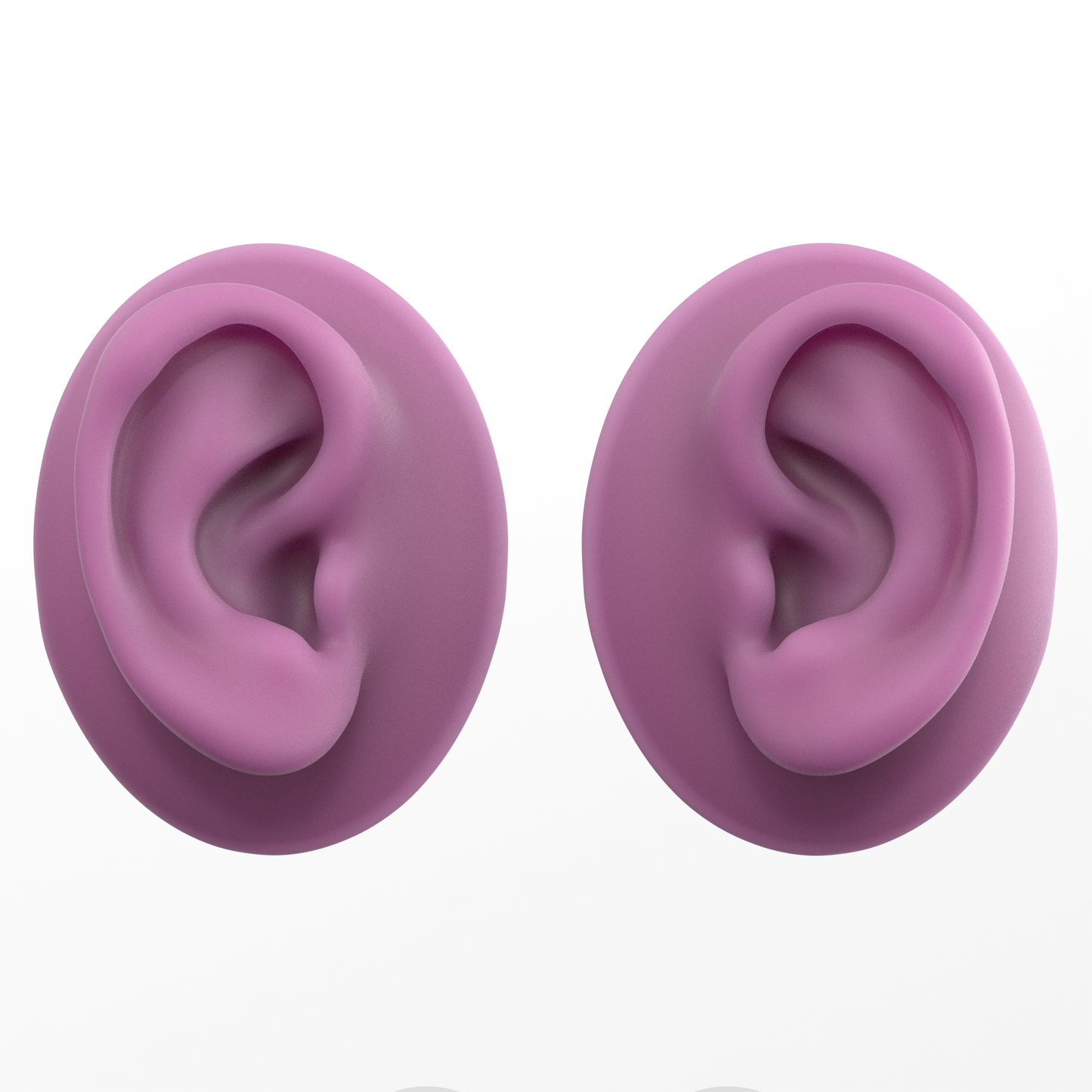 human ear