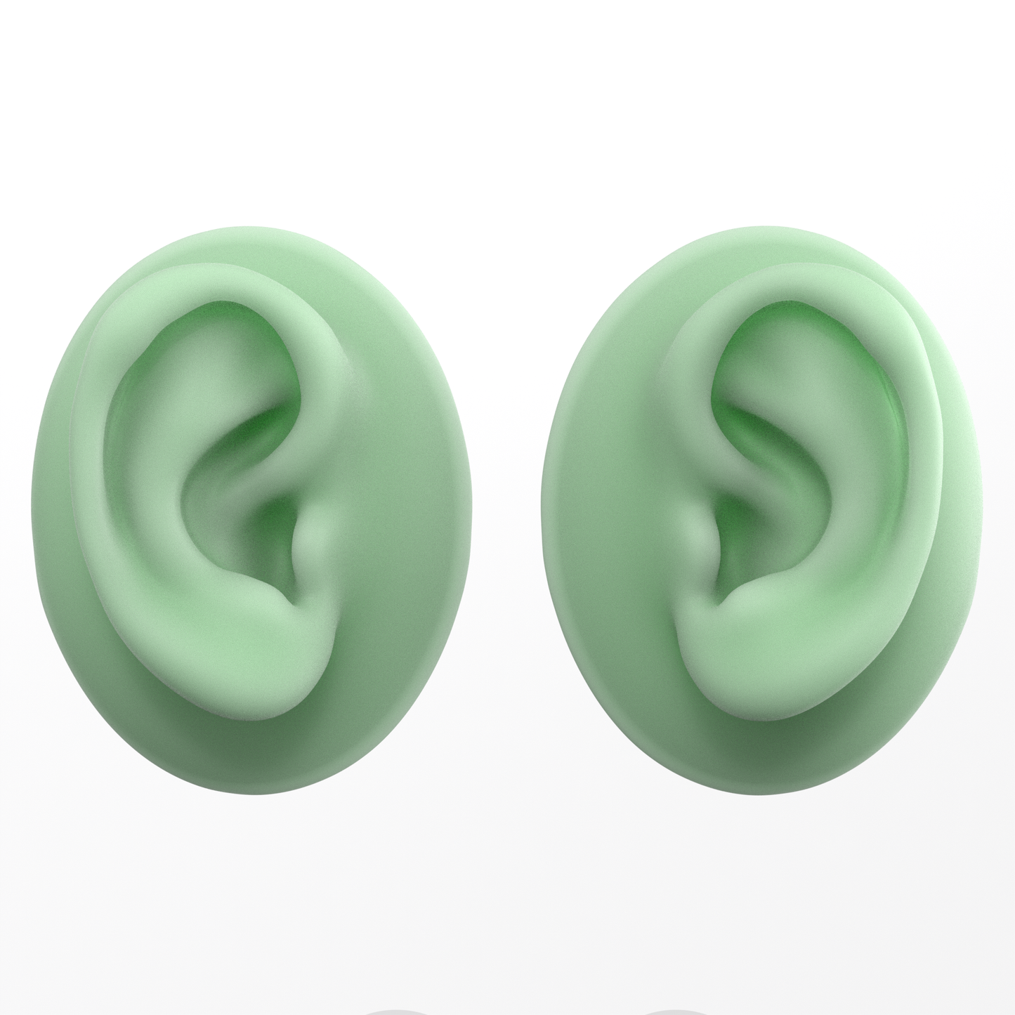 human ear
