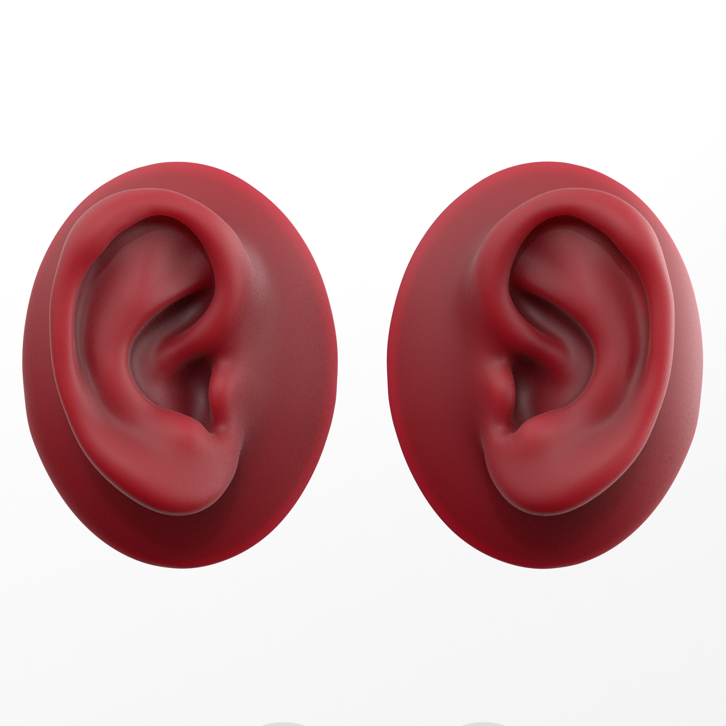 human ear