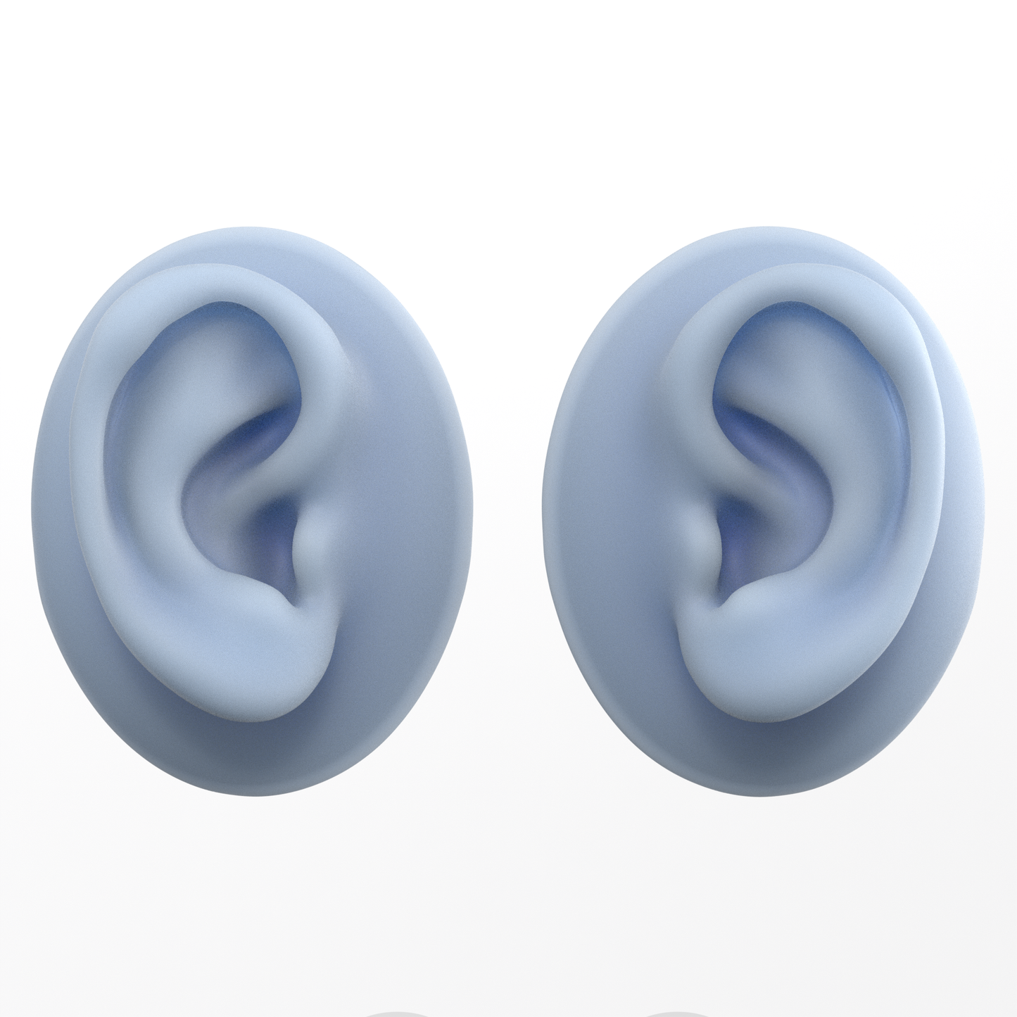 human ear
