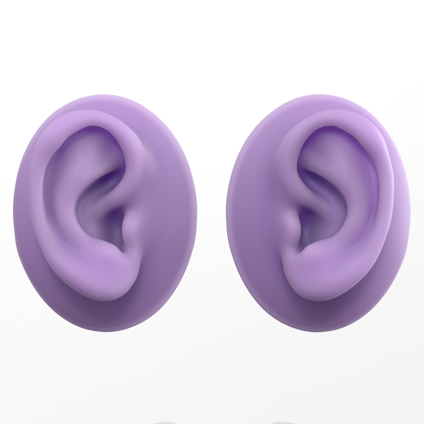human ear