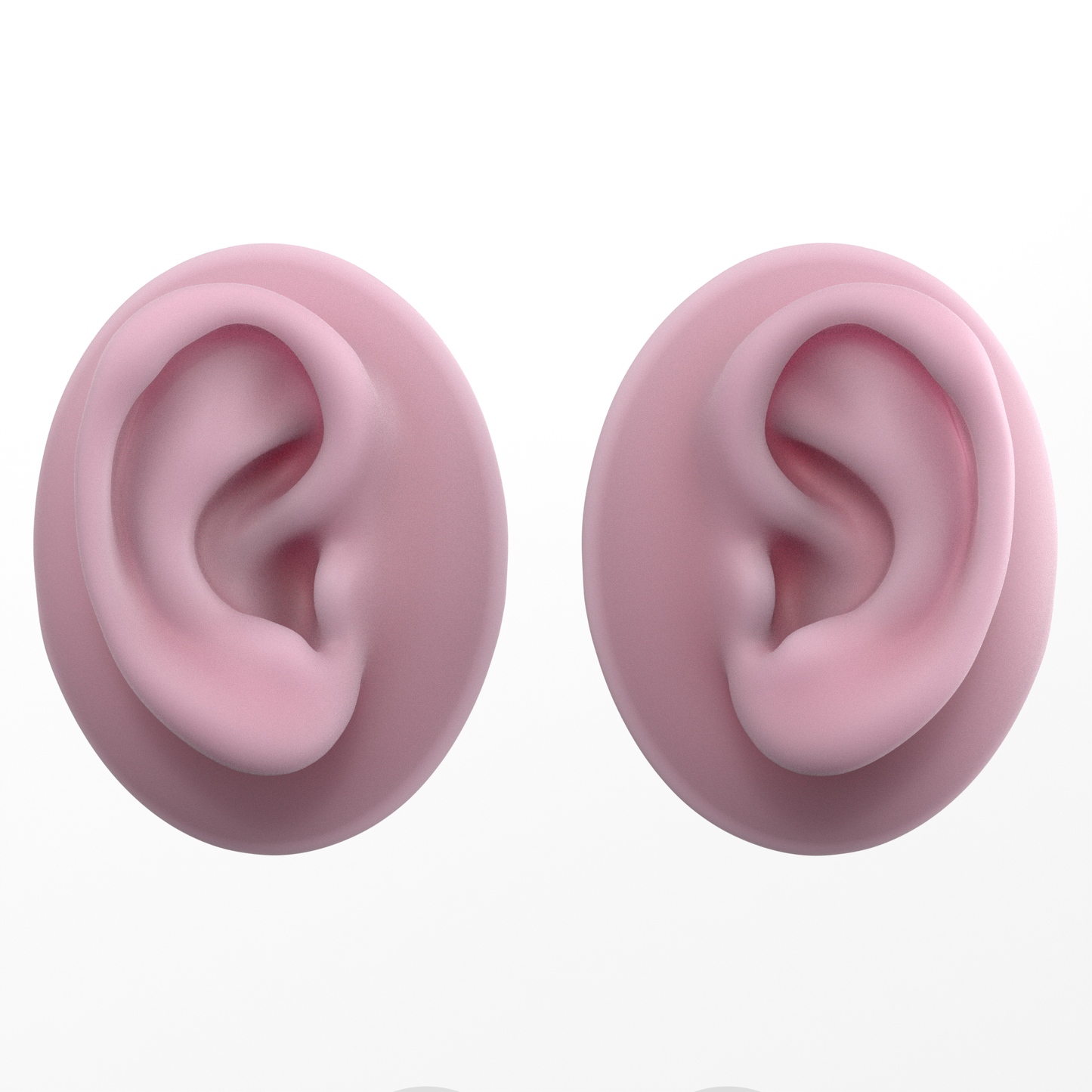 human ear