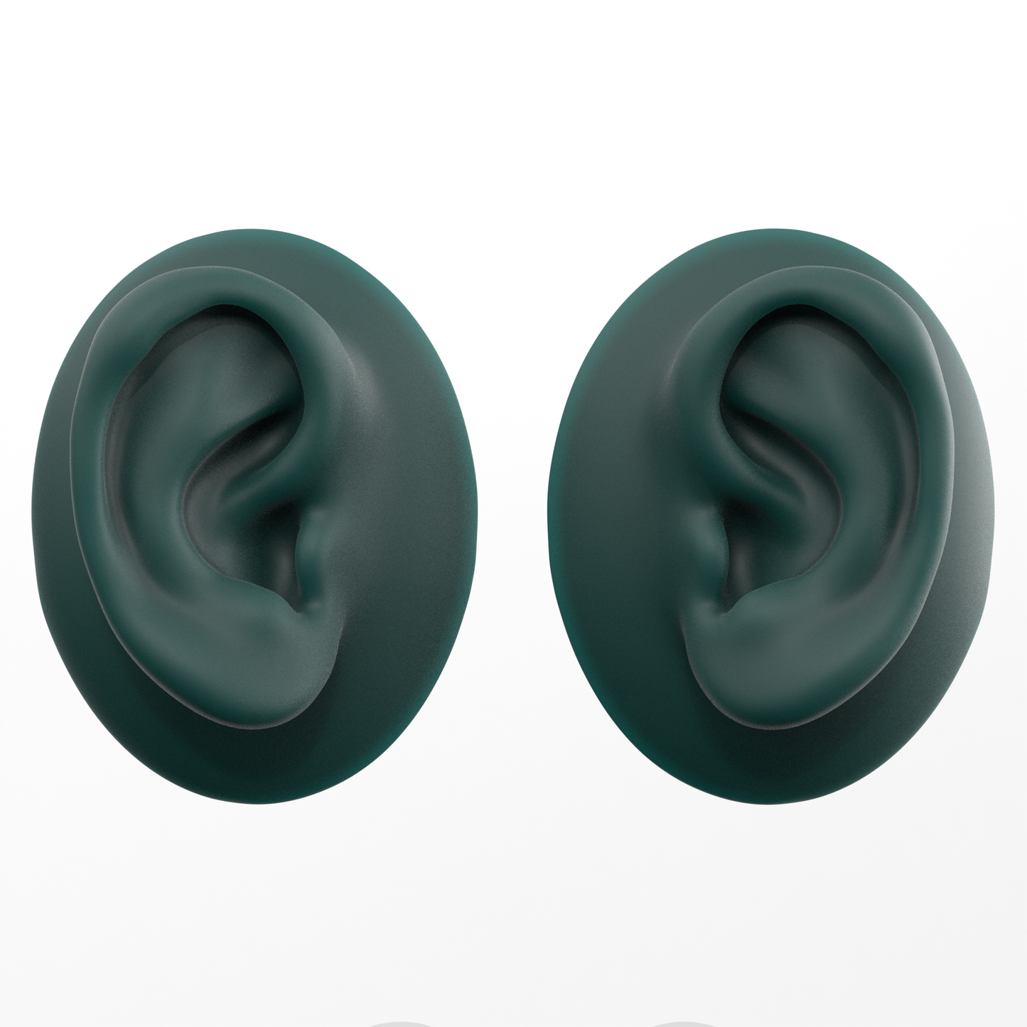 human ear