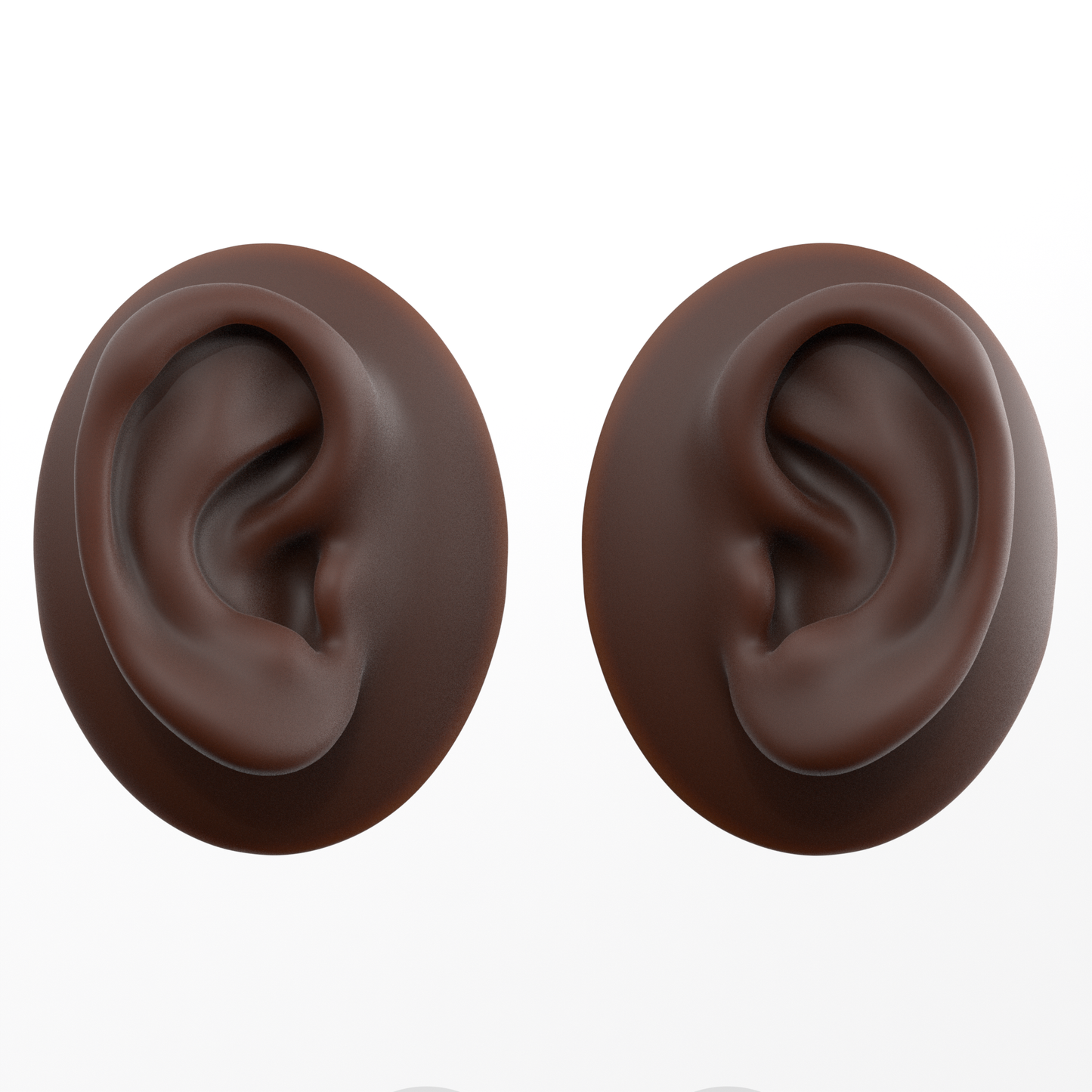 human ear