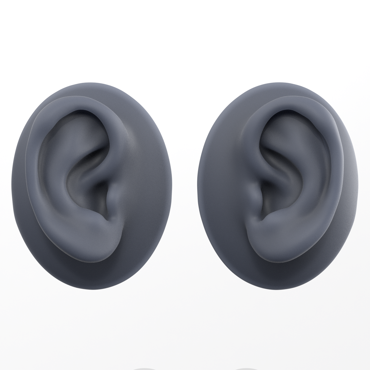 human ear