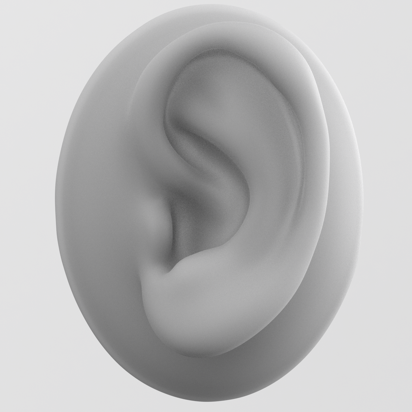 human ear