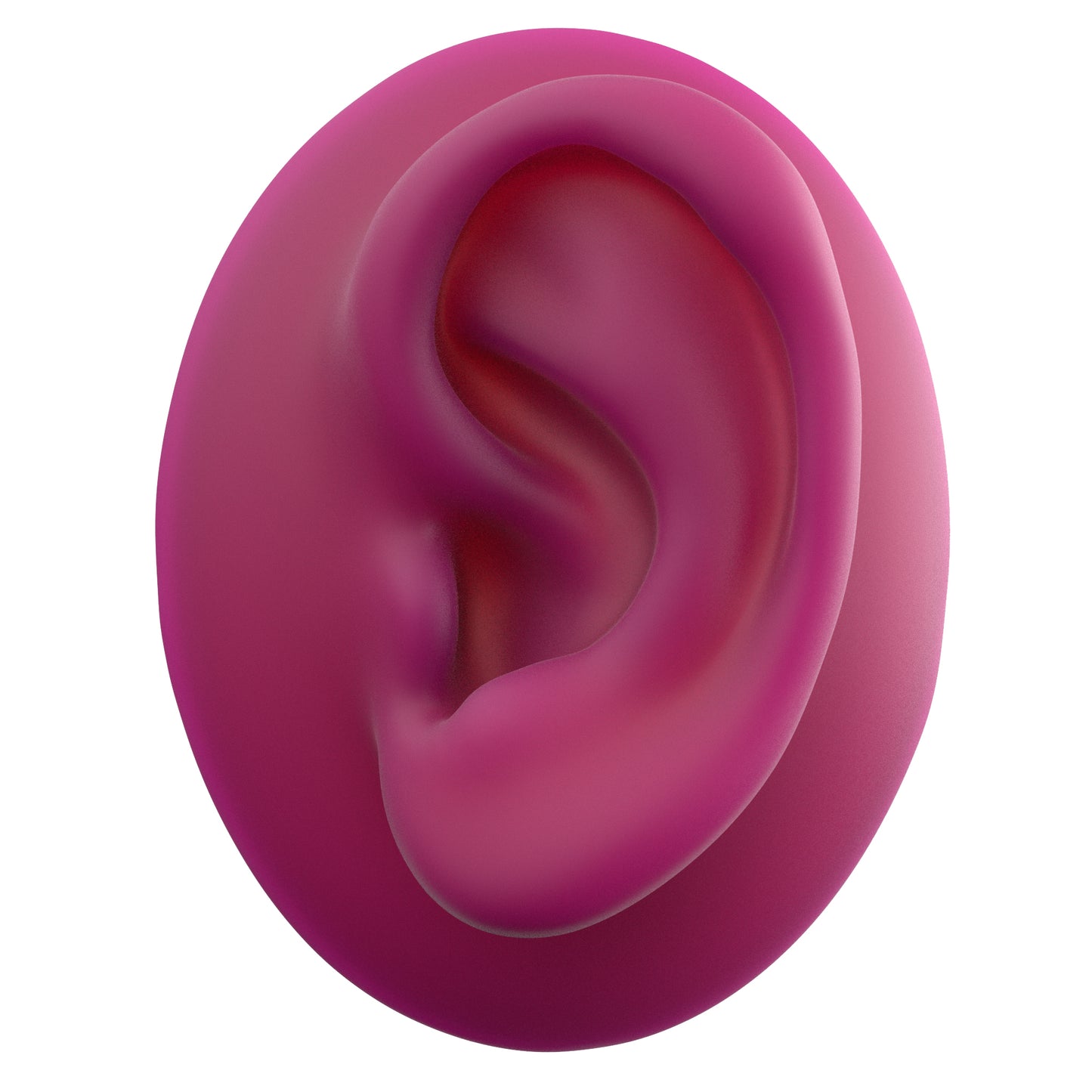 human ear