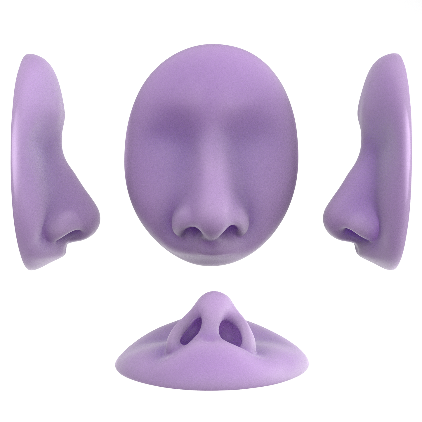 the deviated septum