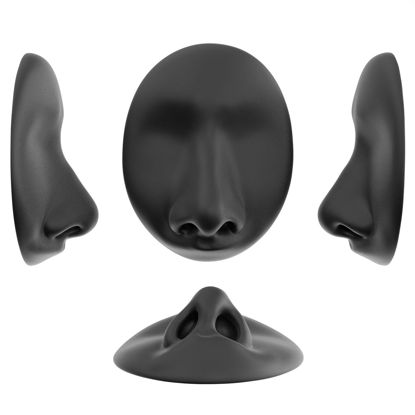 the deviated septum