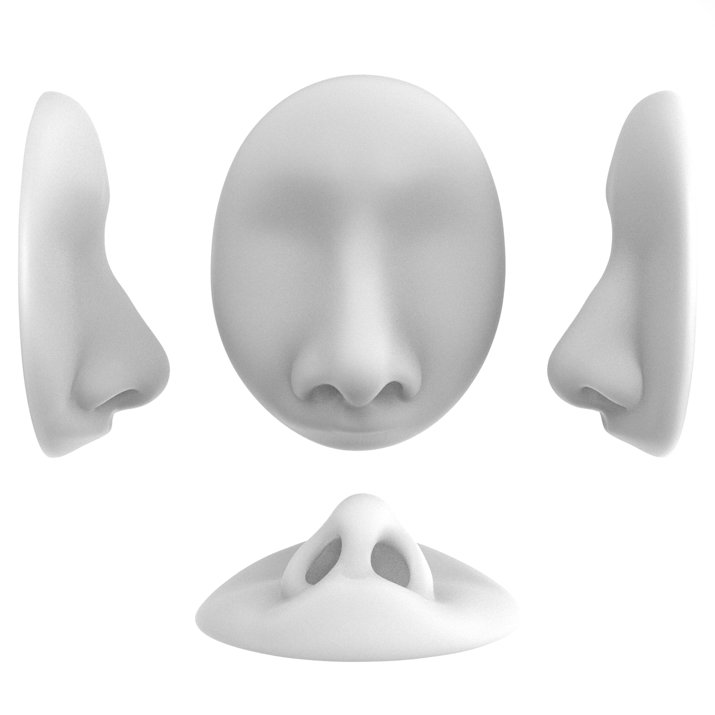 the deviated septum