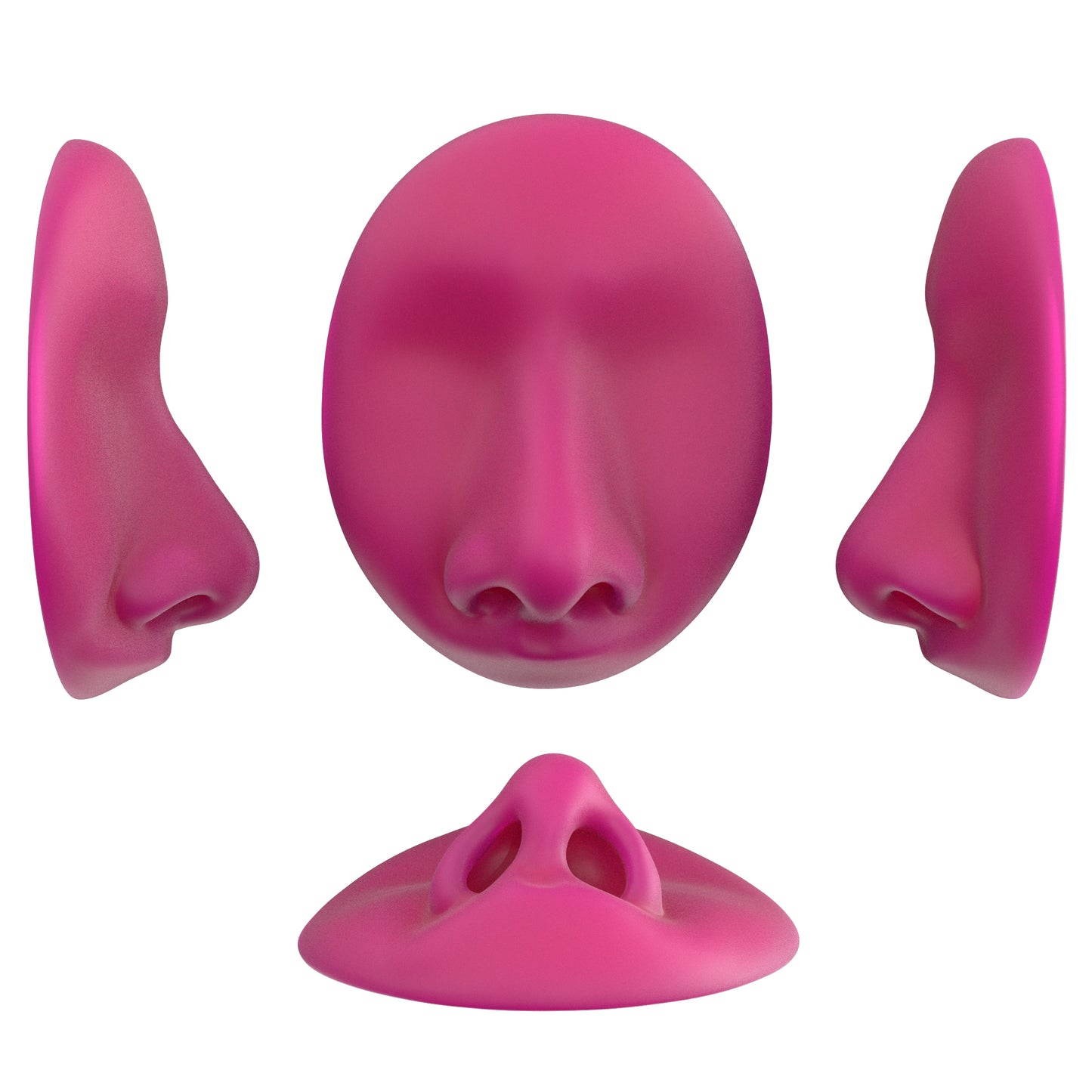 the deviated septum
