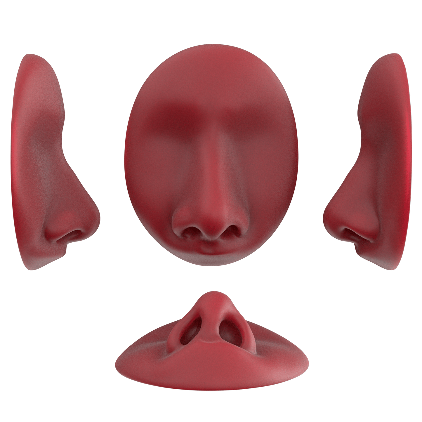 the deviated septum