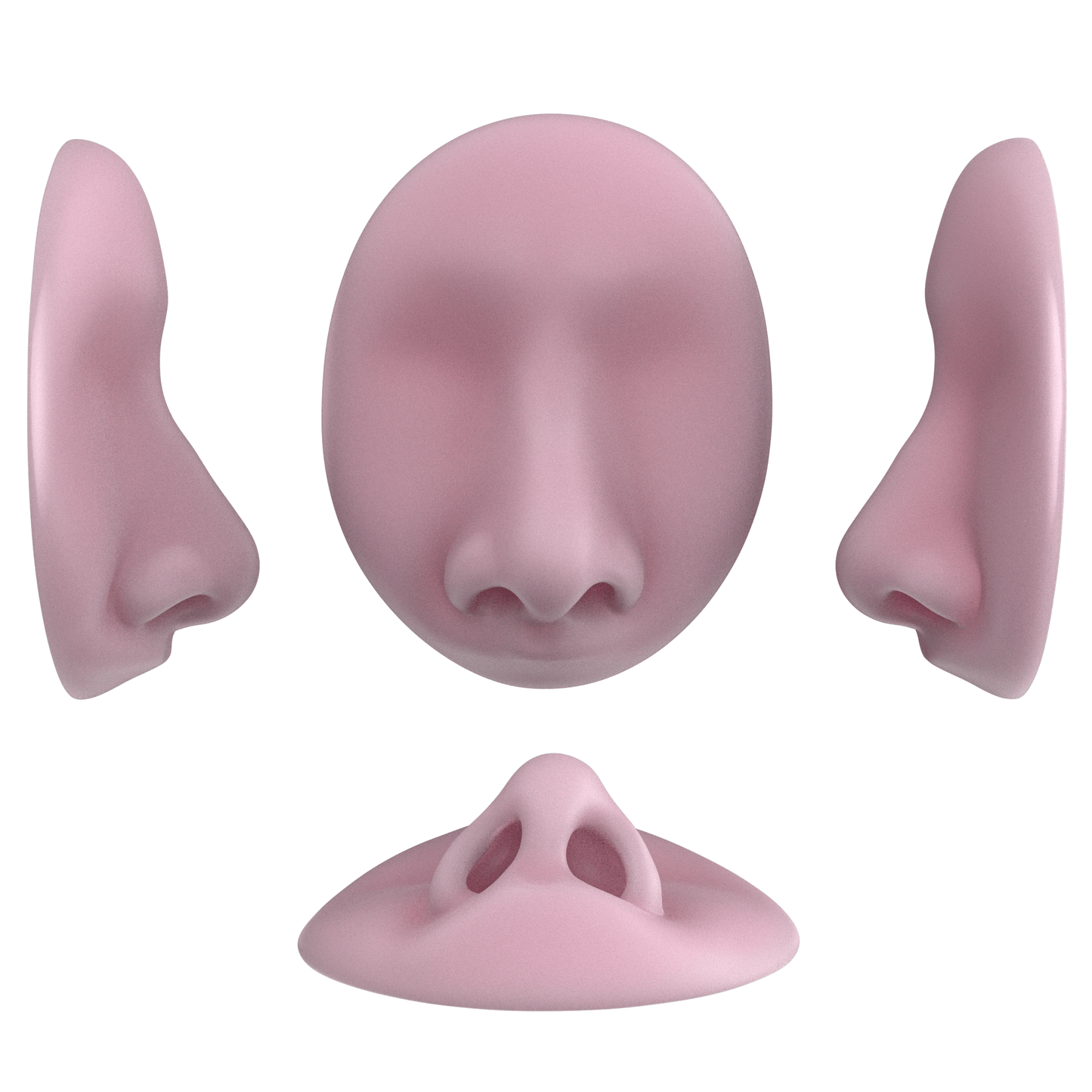 the deviated septum