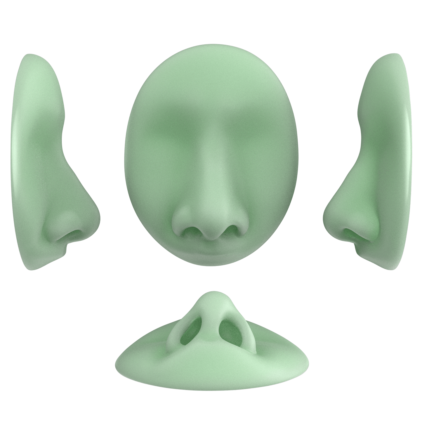 the deviated septum