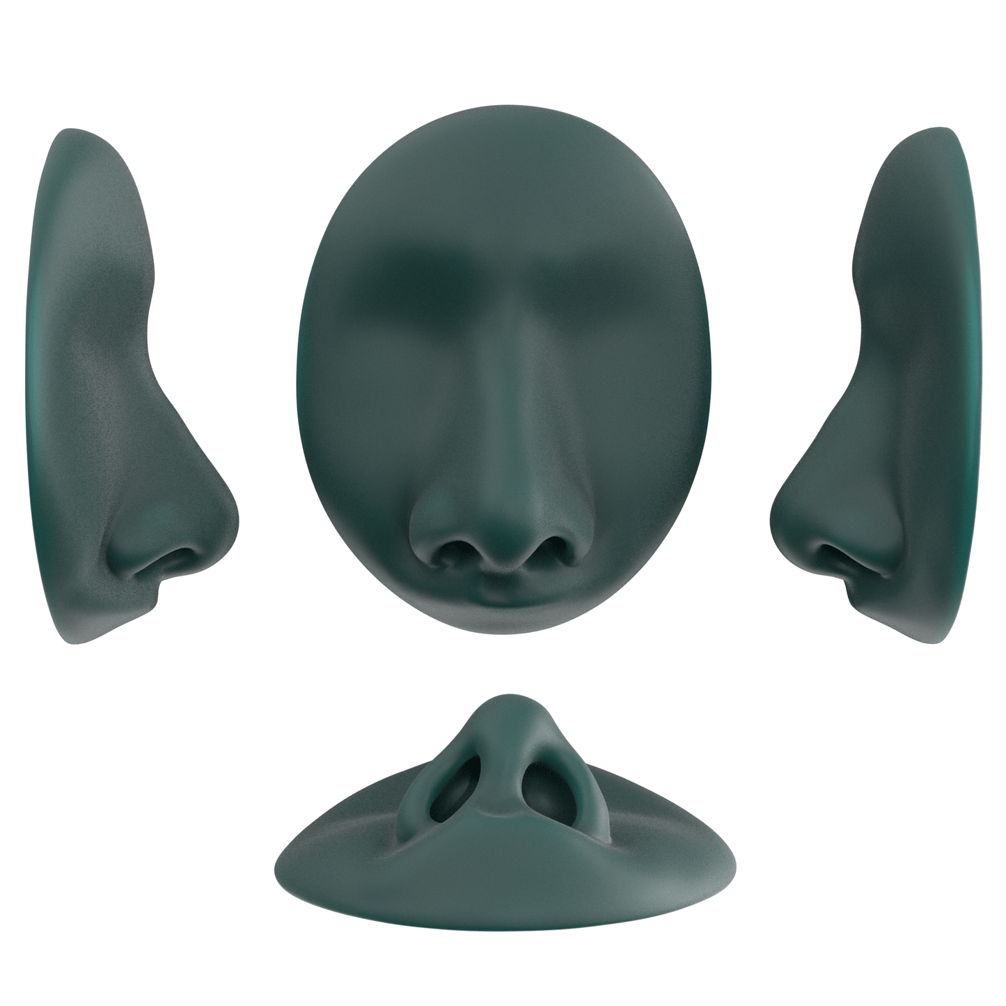 the deviated septum