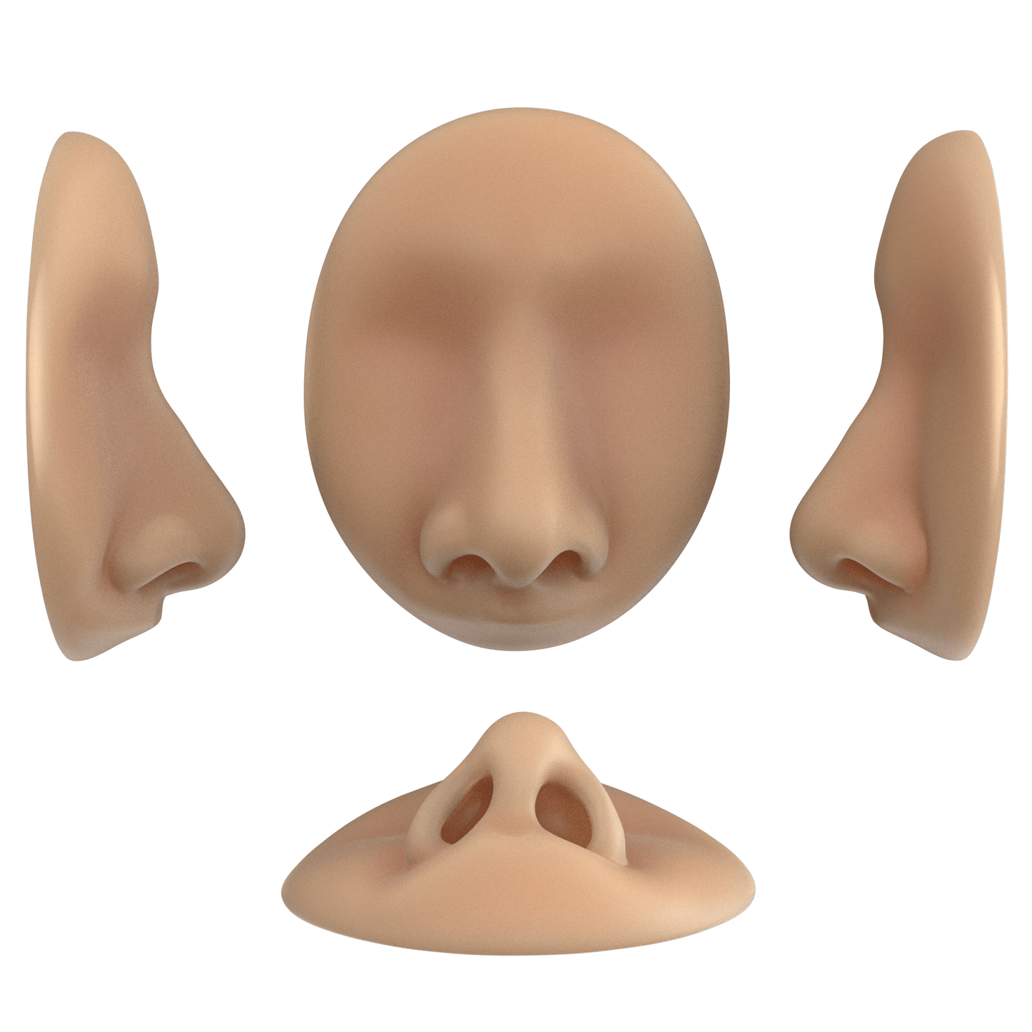 the deviated septum