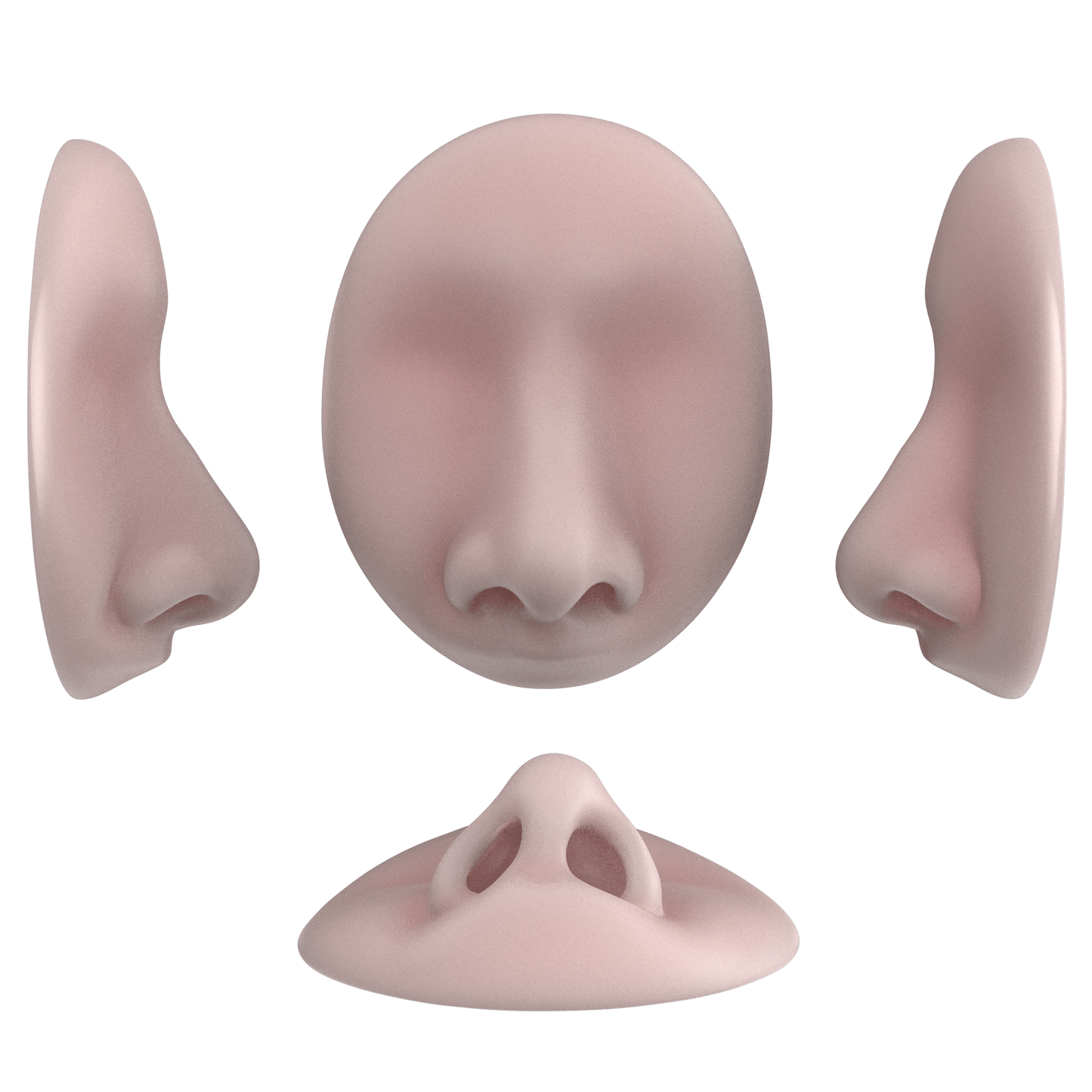 the deviated septum