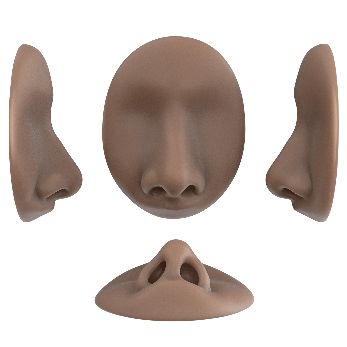 the deviated septum