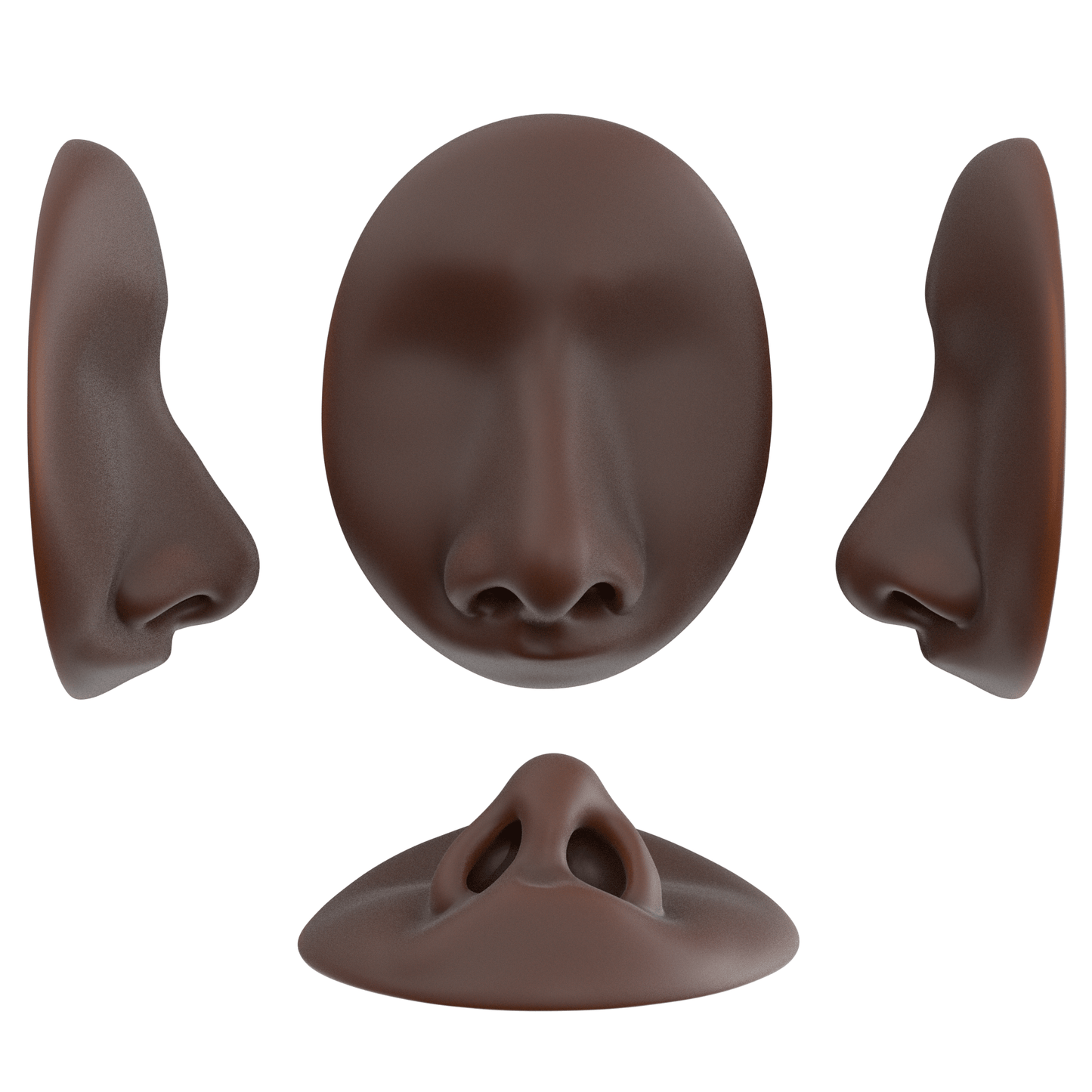 the deviated septum