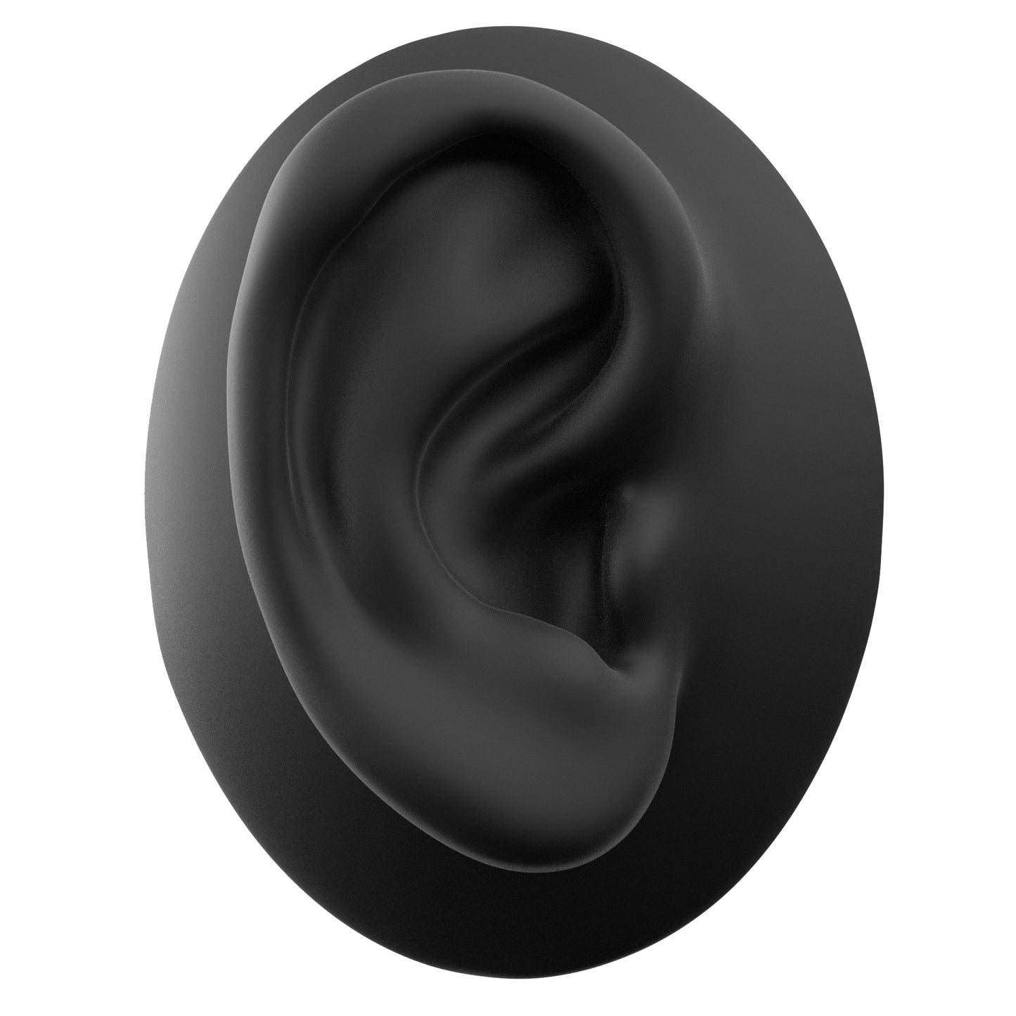 human ear