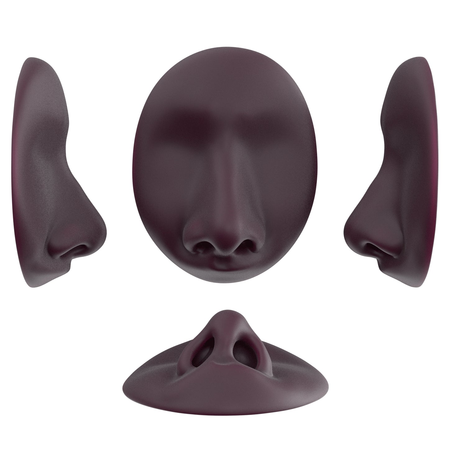the deviated septum
