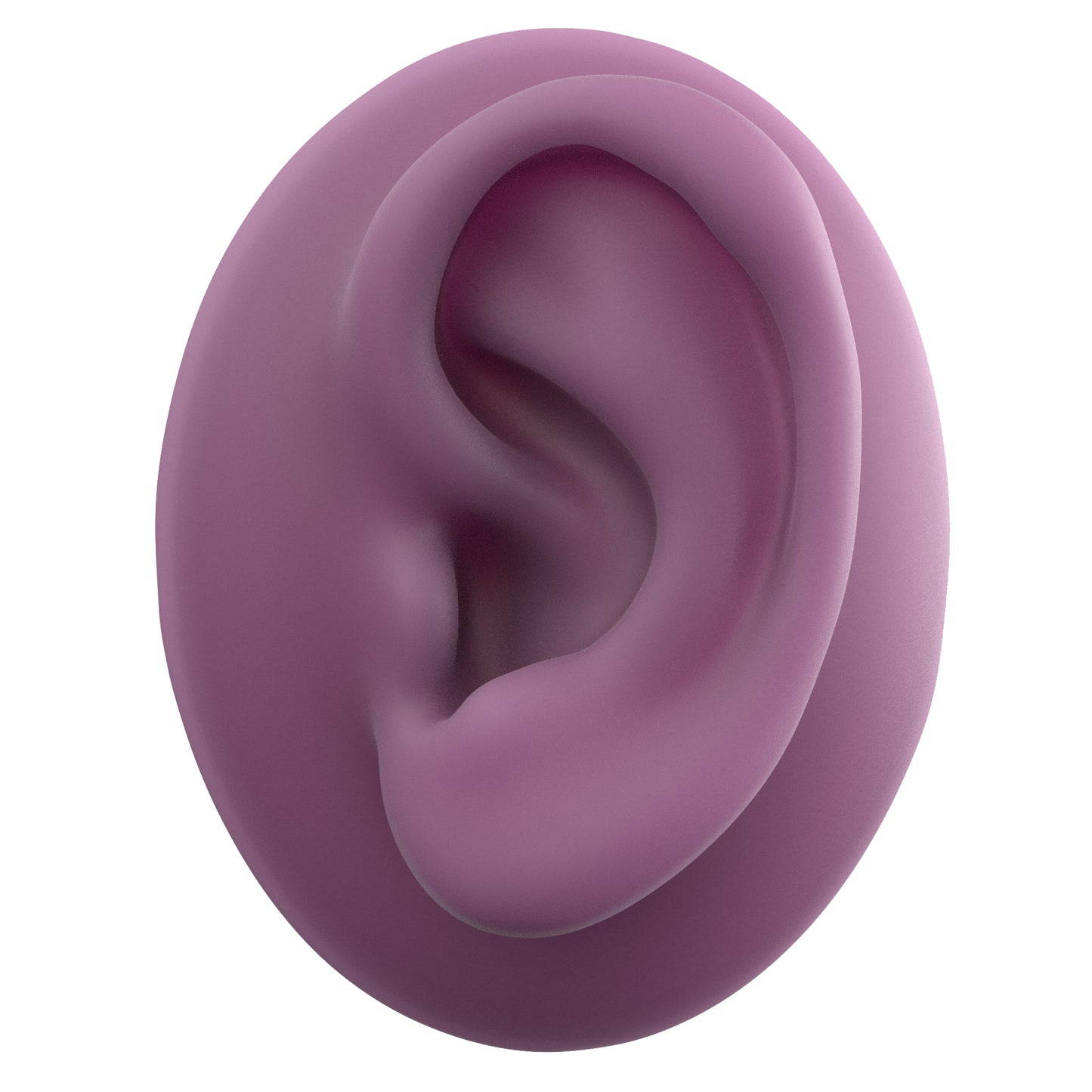 human ear