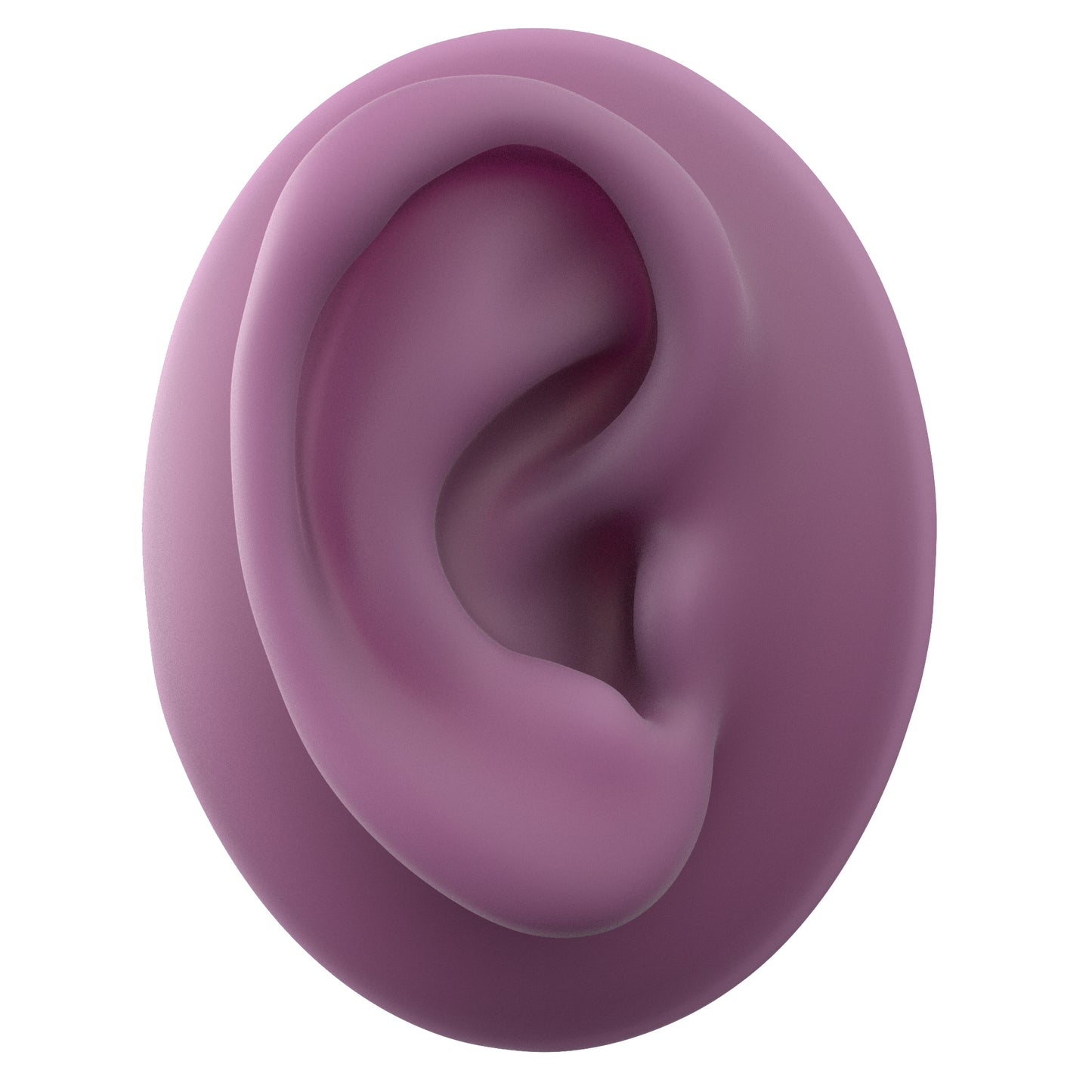 human ear