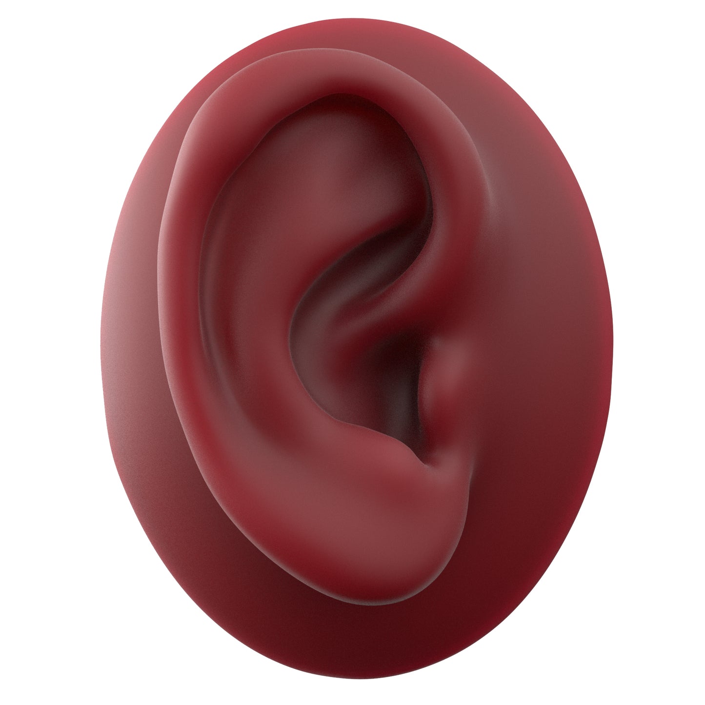 human ear