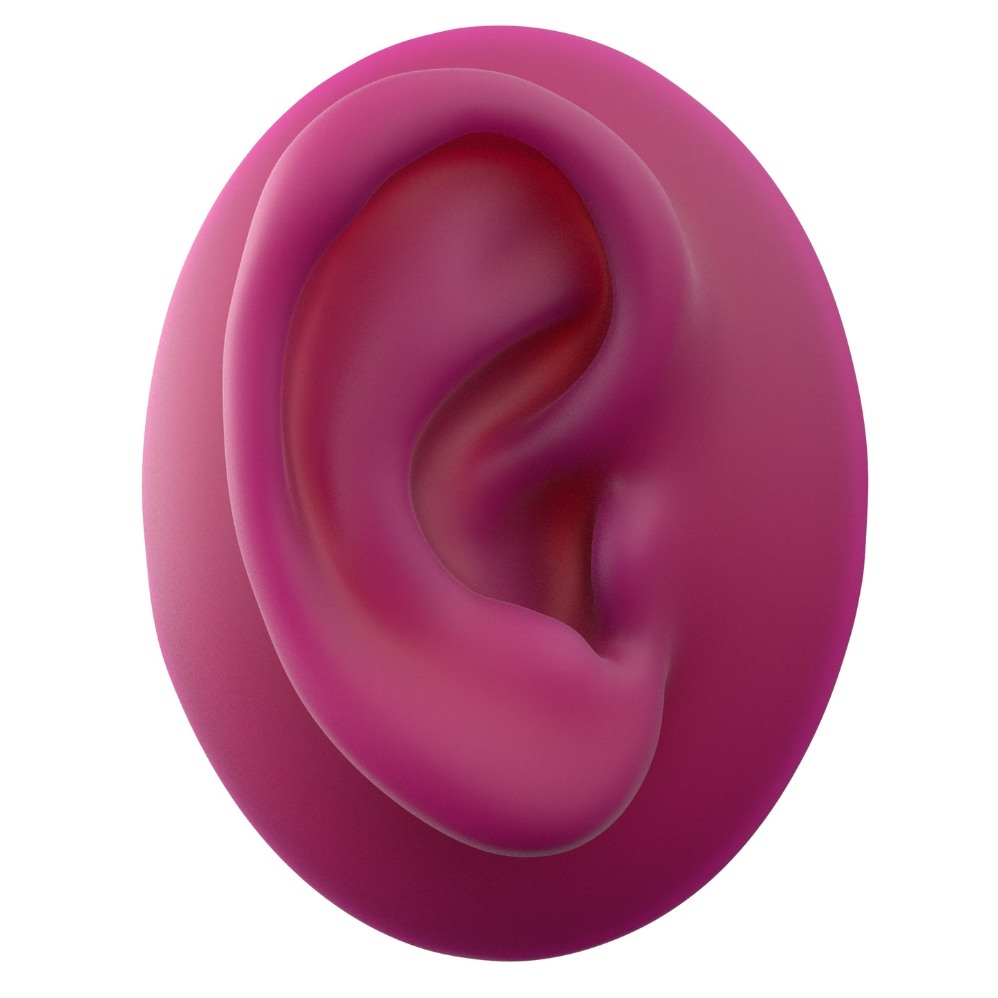 human ear