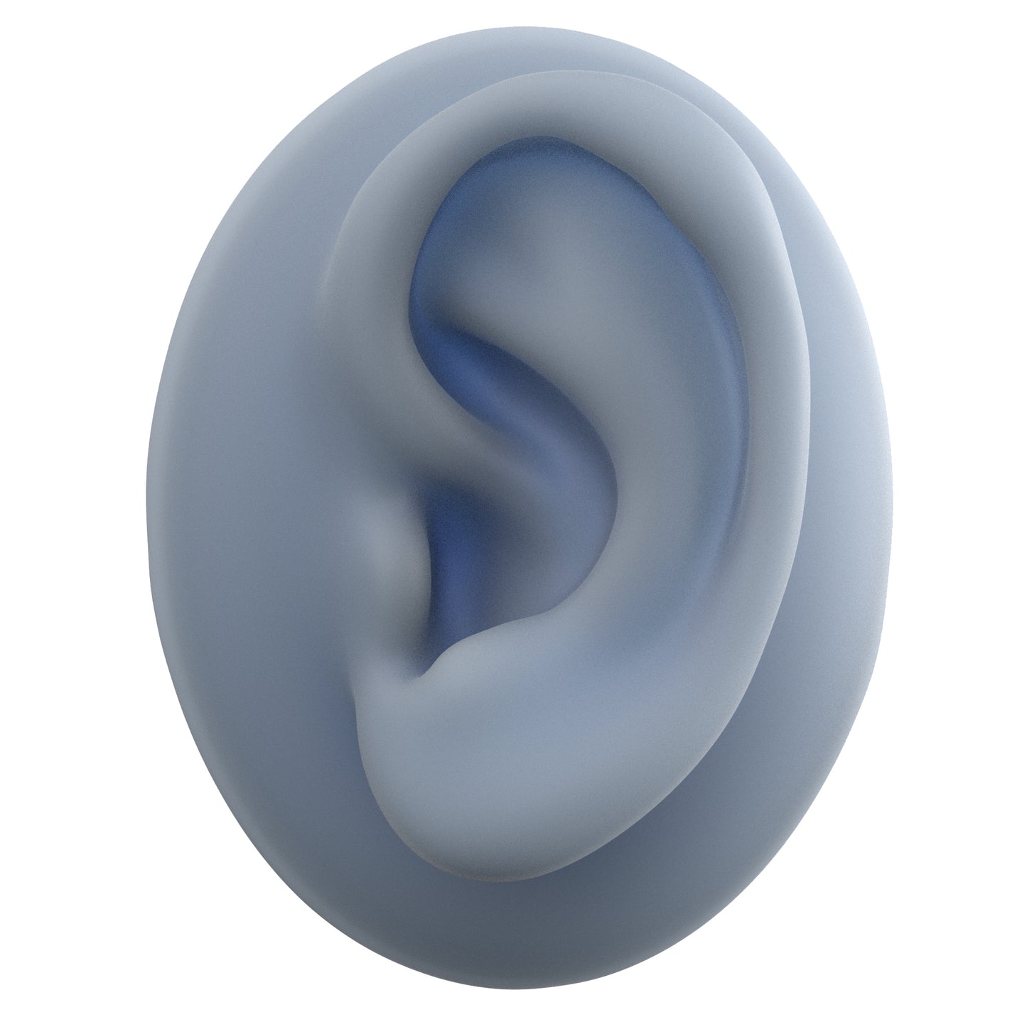 human ear