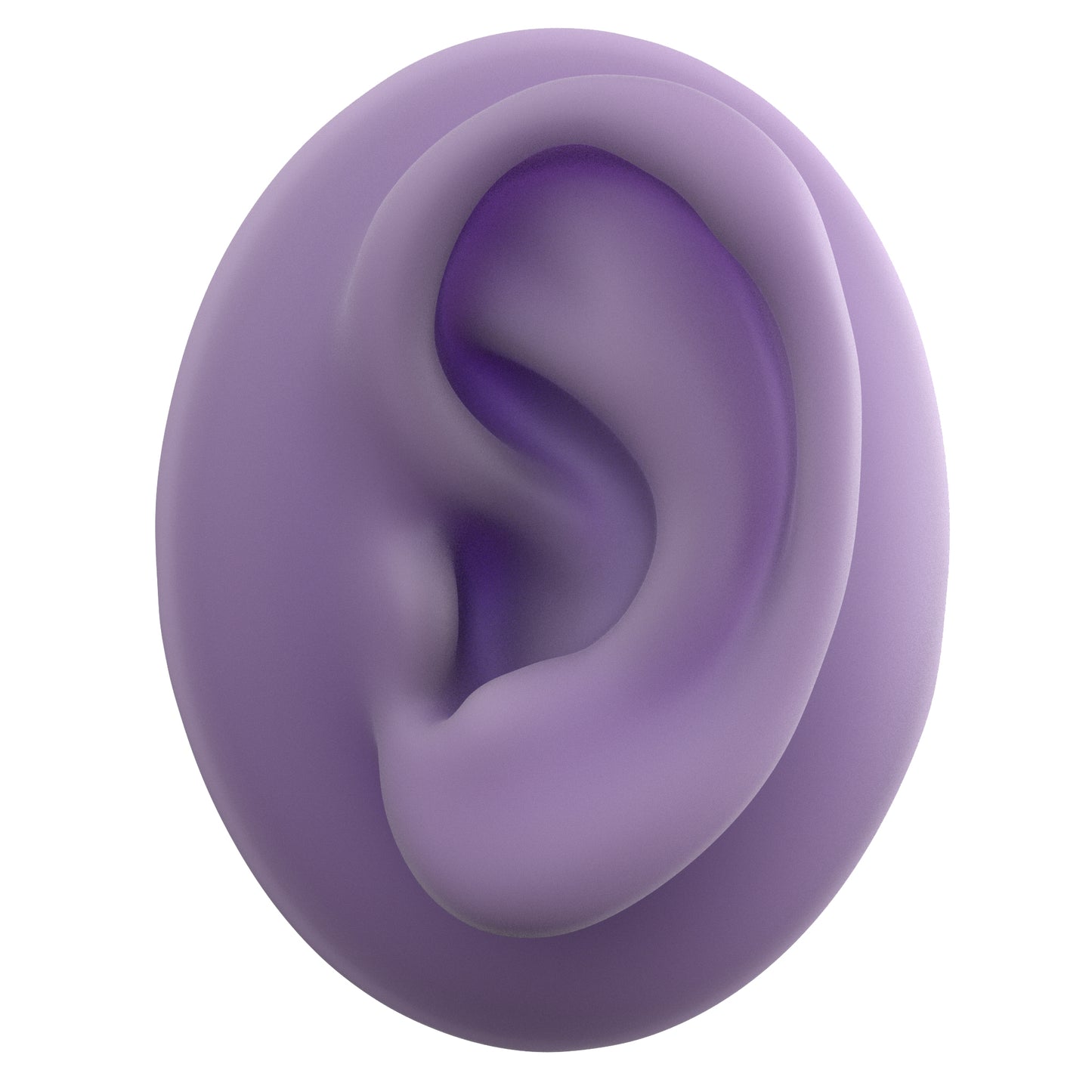 human ear