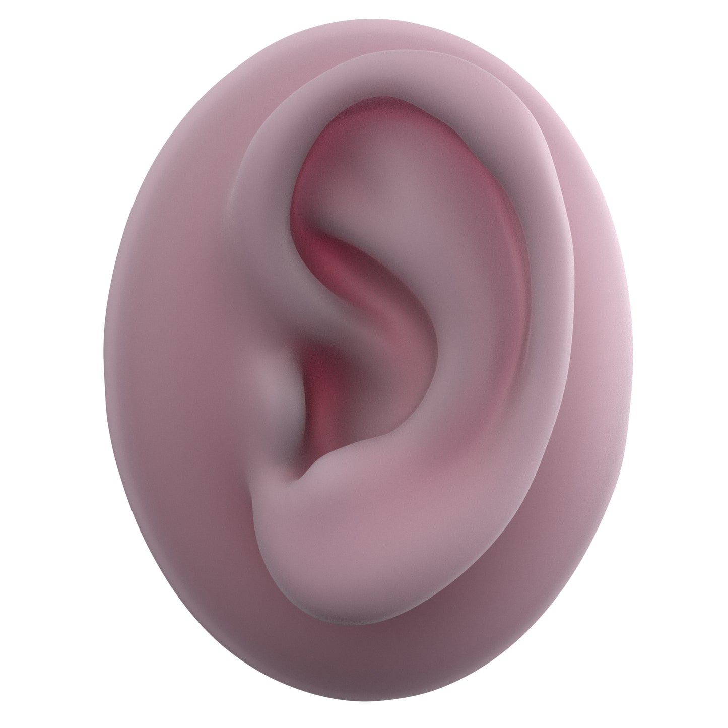 human ear