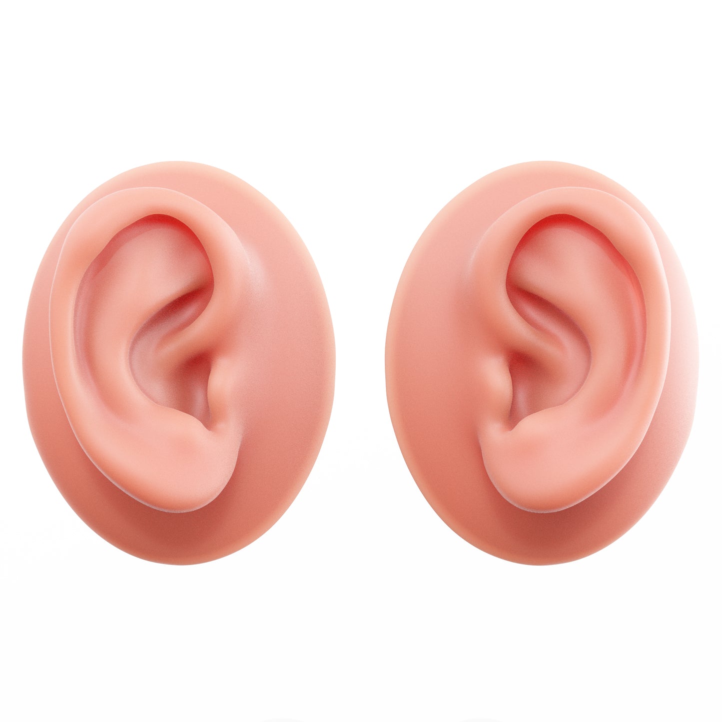human ear
