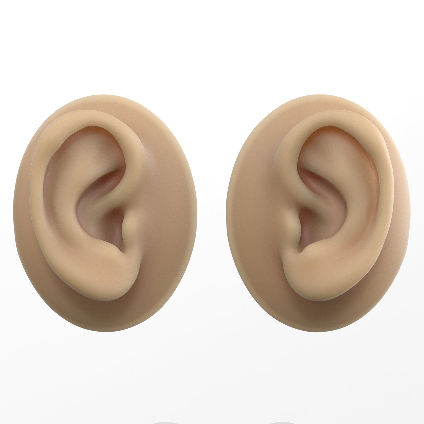 human ear