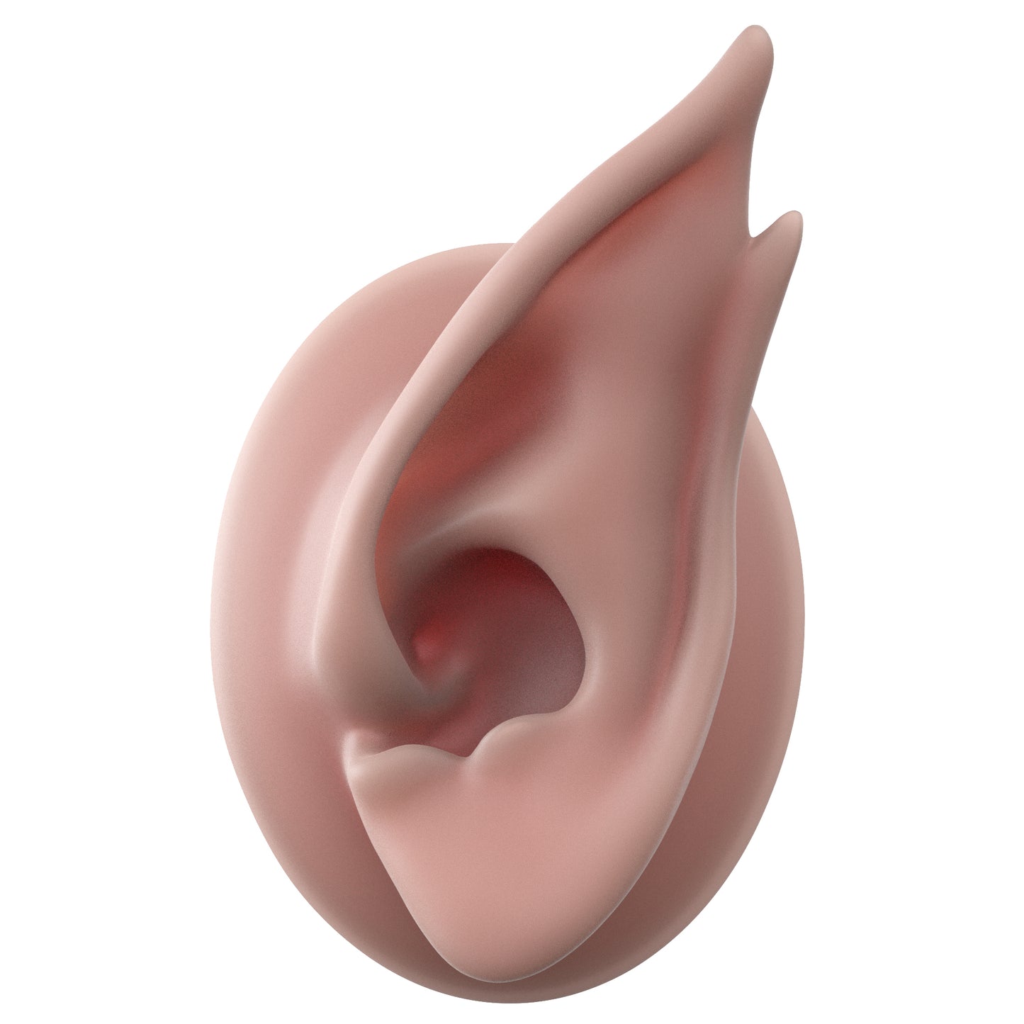 fae ear