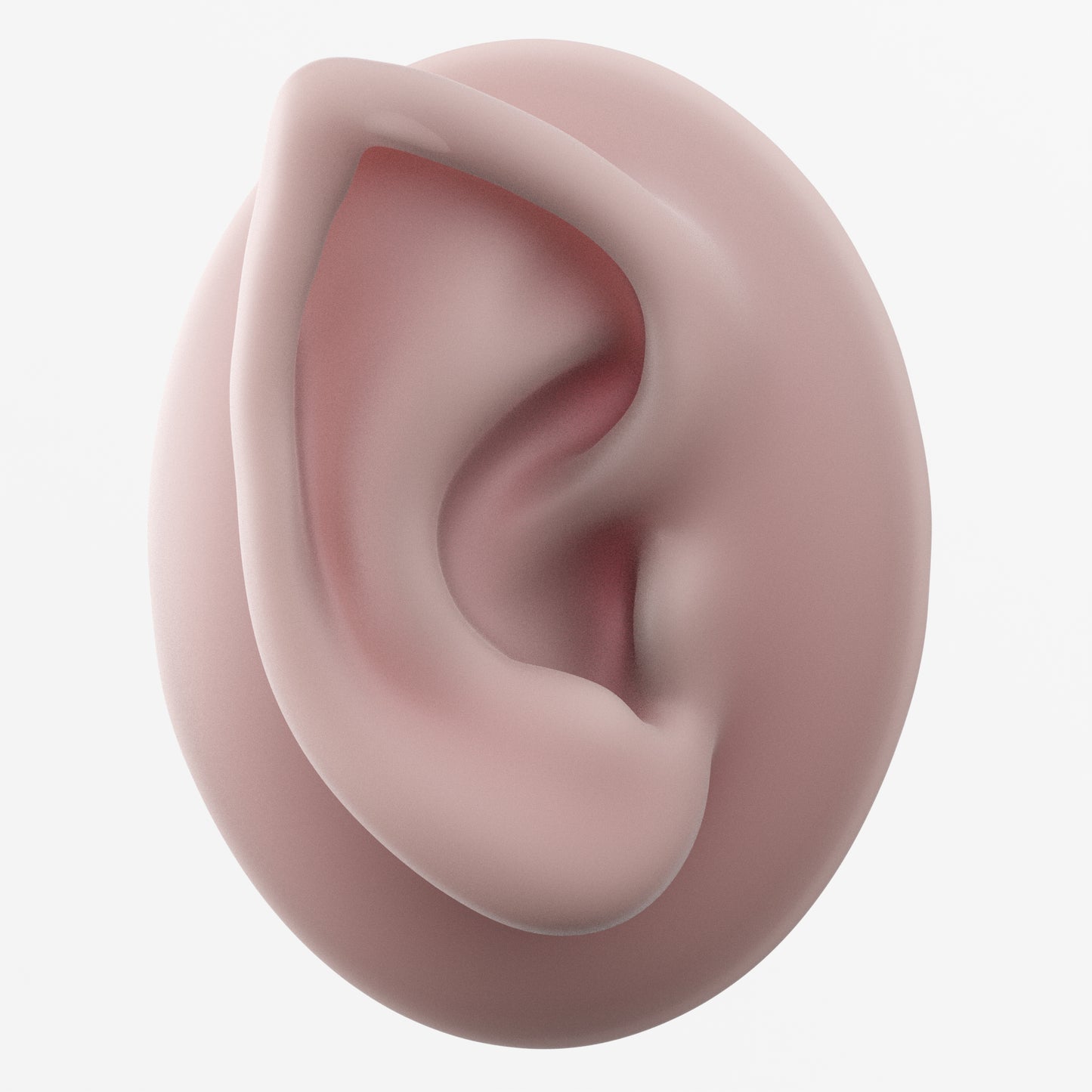 half elf ear