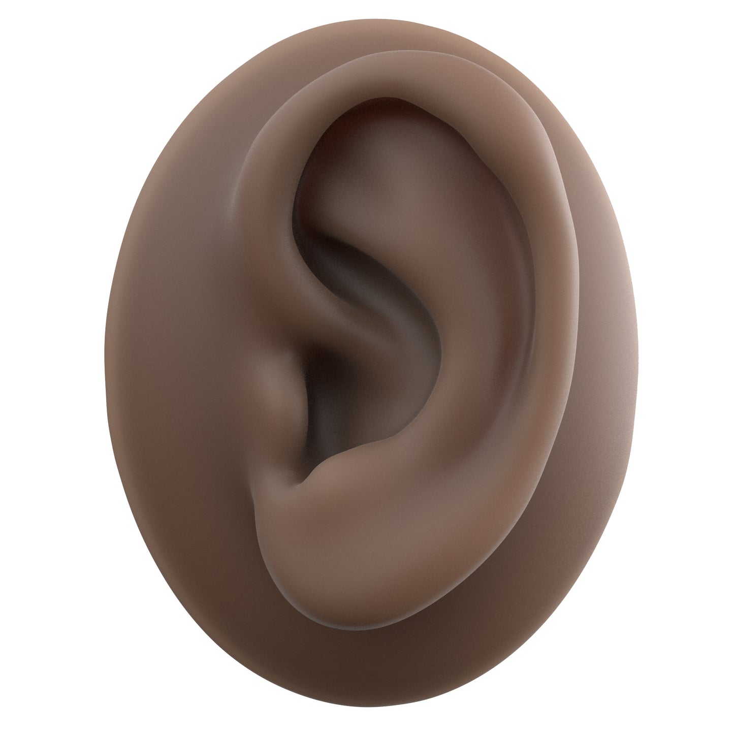 human ear
