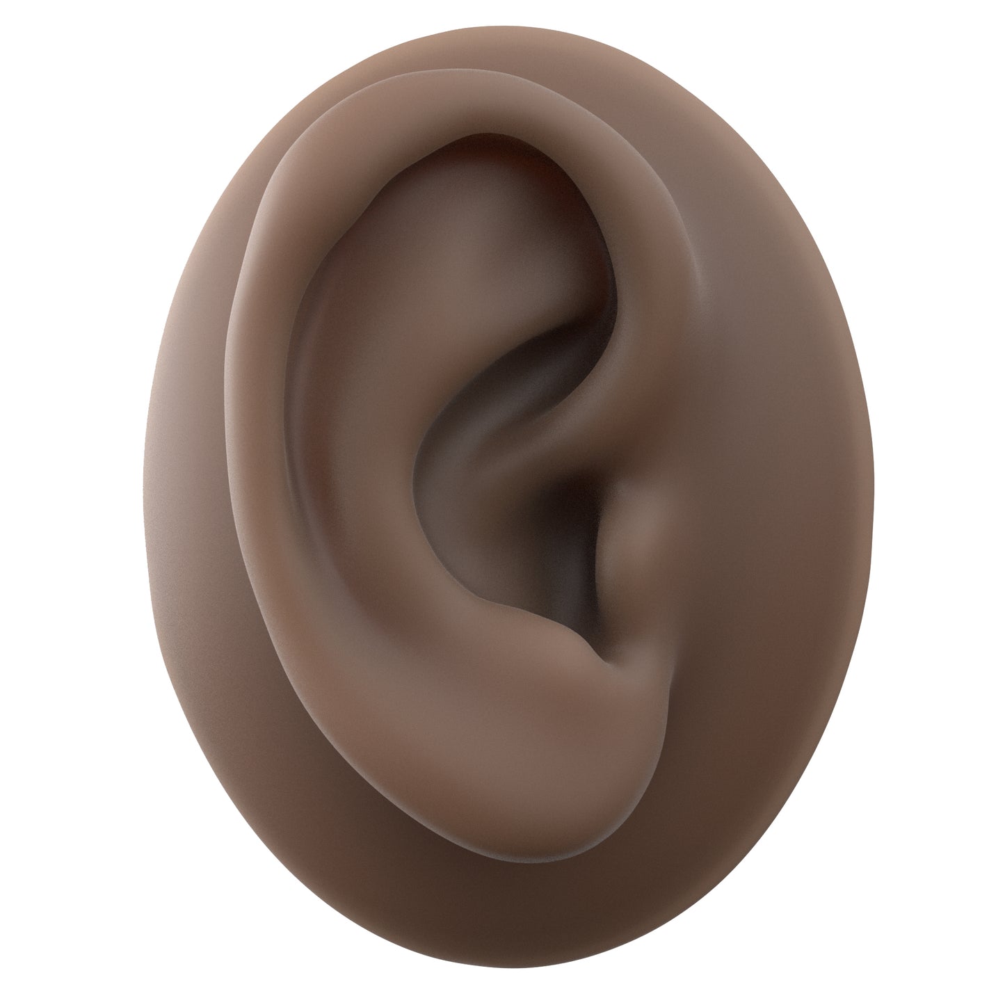 human ear