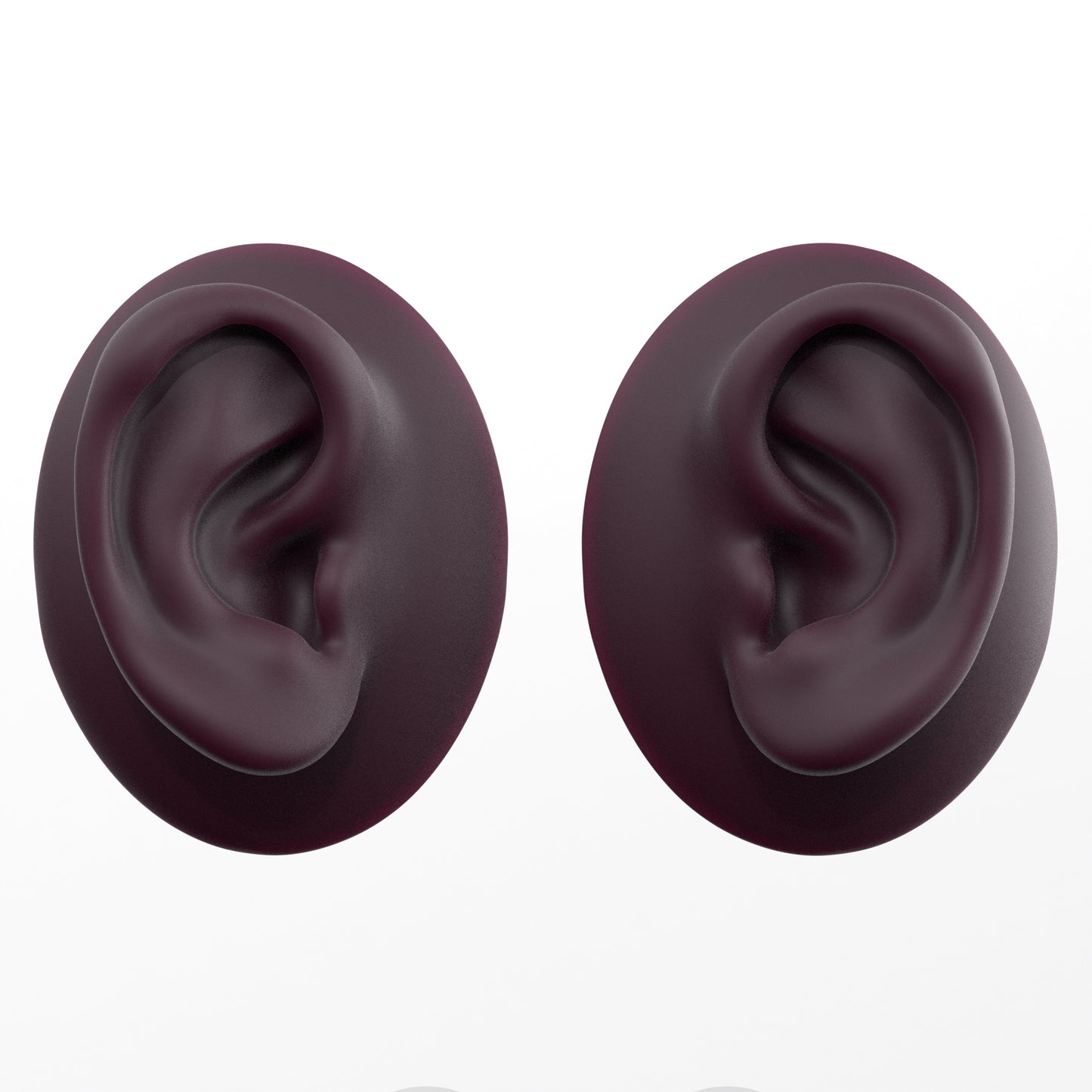human ear