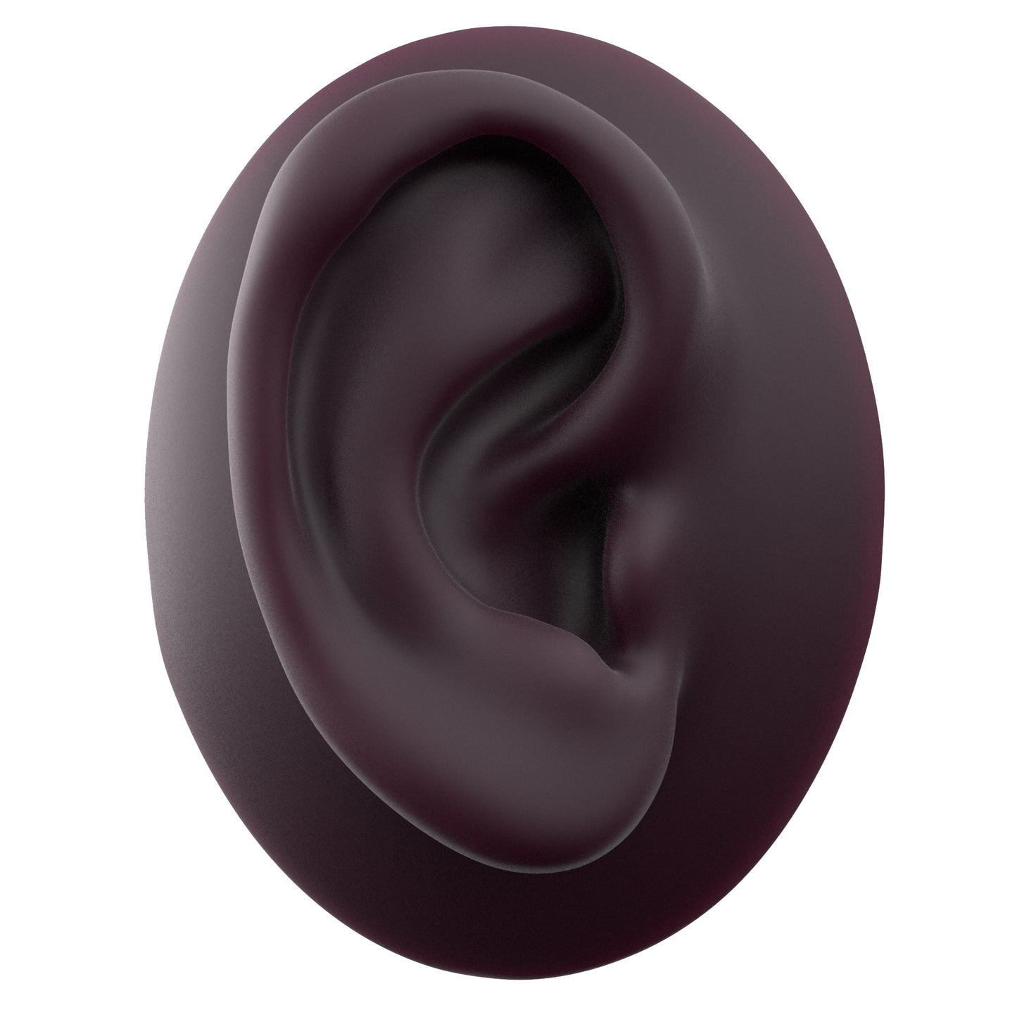 human ear