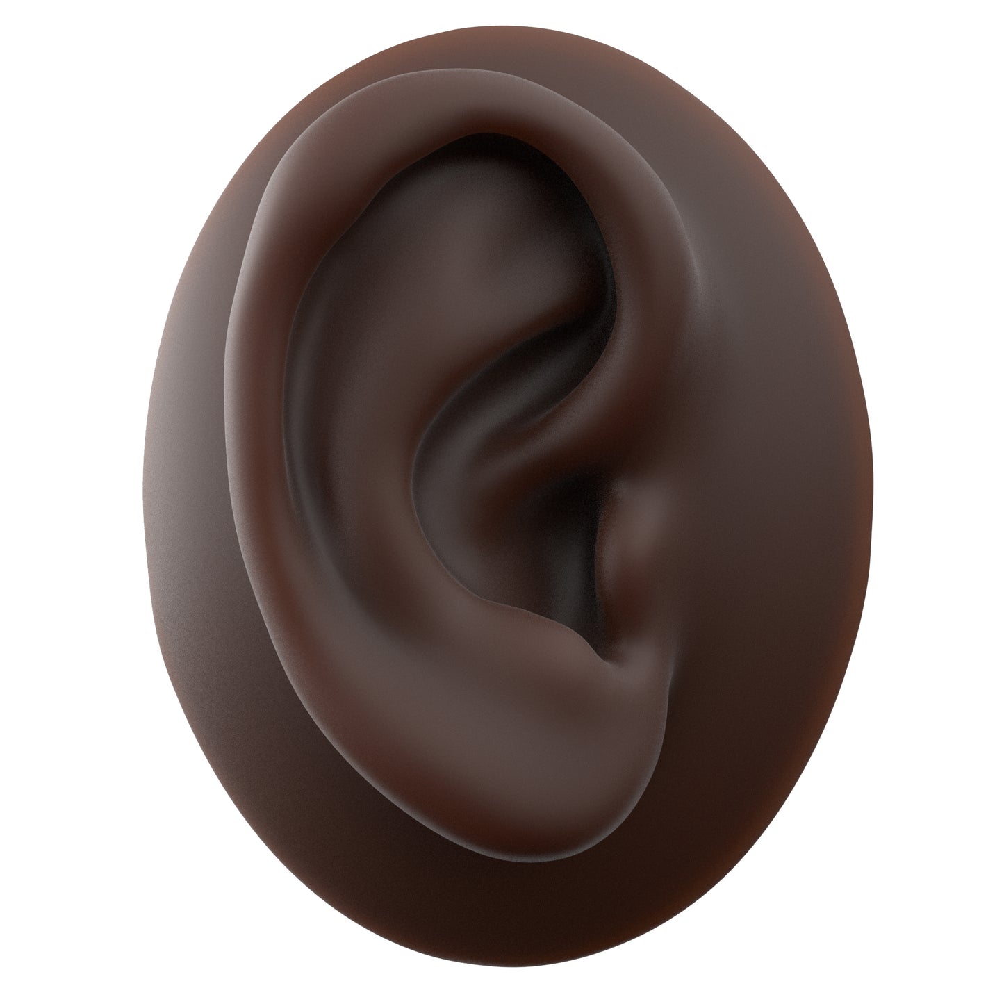 human ear