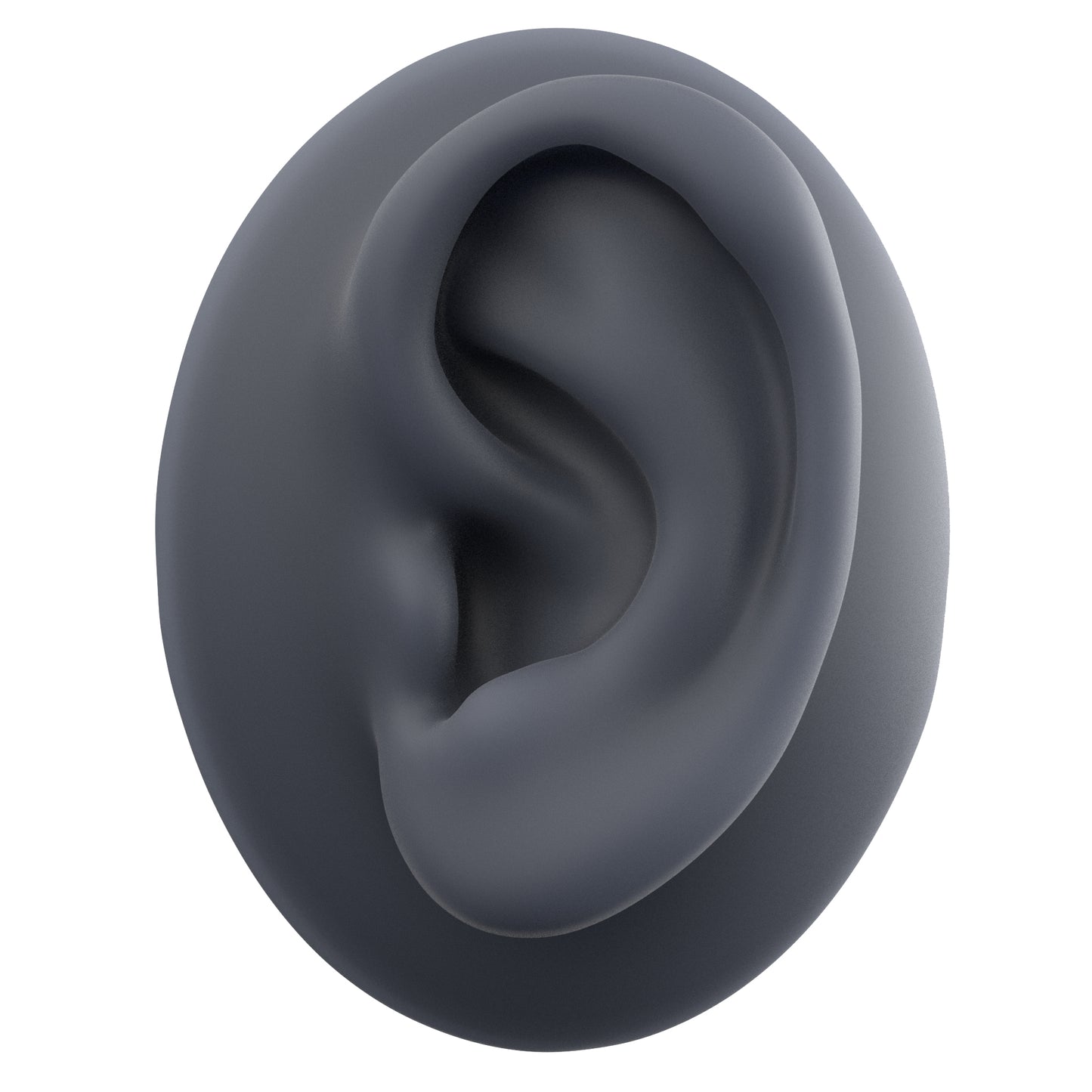human ear