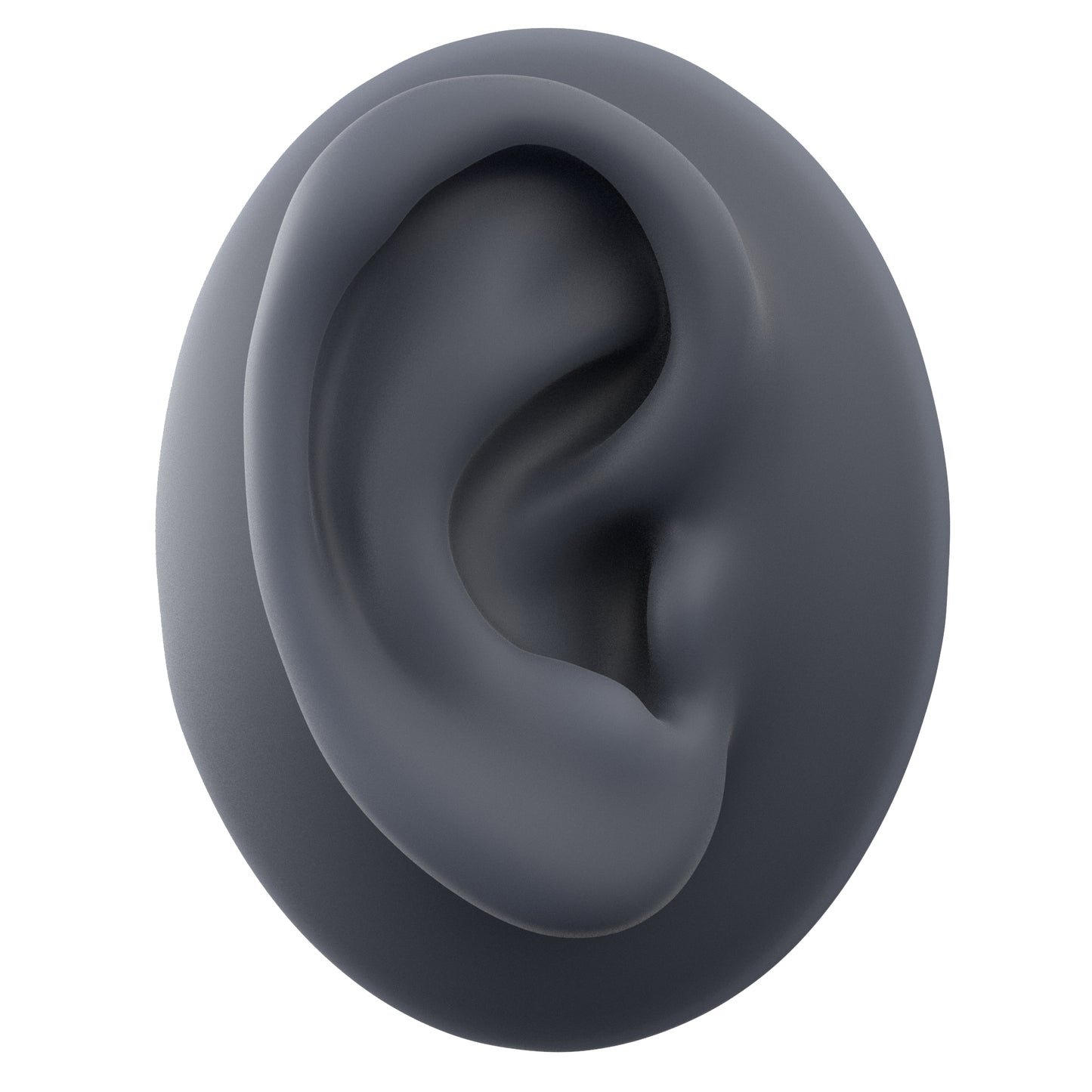 human ear