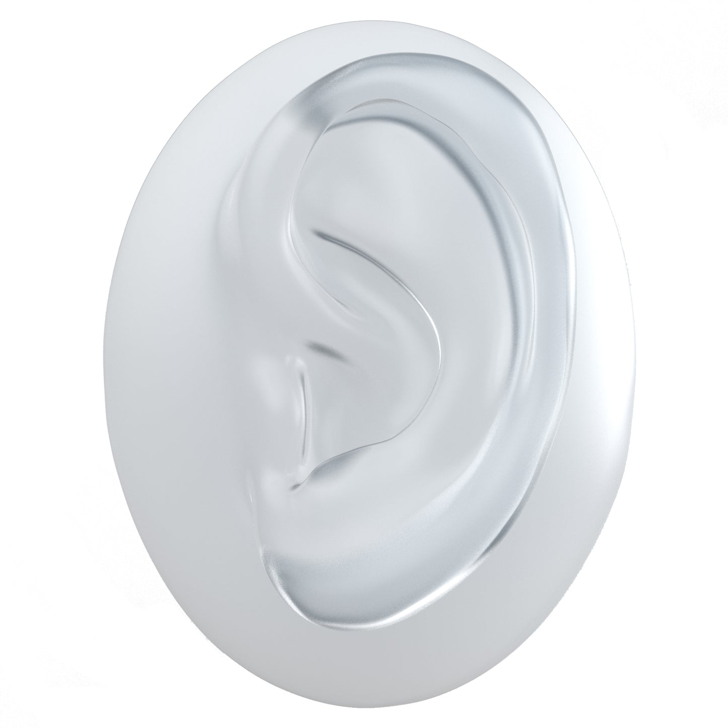 human ear